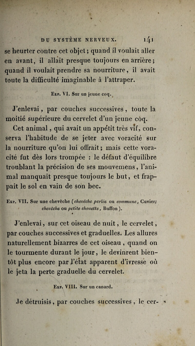 se heurter contre cet objet ; quand il voulait aller en avant, il allait presque toujours en arrière ; quand il voulait prendre sa nourriture, il avait toute la difficulté imaginable à l’attraper. Exp. VI. Sur un jeune coq. J’enlevai, par couches successives , toute la moitié supérieure du cervelet d’un jeune coq. Cet animal, qui avait un appétit très vîf, con¬ serva l’habitude de se jeter avec voracité sur la nourriture qu’on lui offrait ; mais cette vora¬ cité fut dès lors trompée : le défaut d’équilibre troublant la précision de ses mouvemens, l’ani¬ mal manquait presque toujours le but, et frap¬ pait le sol en vain de son bec. Exp. VII. Sur une chevêche (chevêche perlée ou commune, Cuvier; chevêche ou petite chouette, Buffon ). J’enlevai, sur cet oiseau de nuit, le cervelet, par couches successives et graduelles. Les allures naturellement bizarres de cet oiseau, quand on le tourmente durant le jour, le devinrent bien¬ tôt plus encore par l’état apparent d’ivresse où le jeta la perte graduelle du cervelet. Exp. VIII. Sur un canard. Je détruisis, par couches successives, le cer-