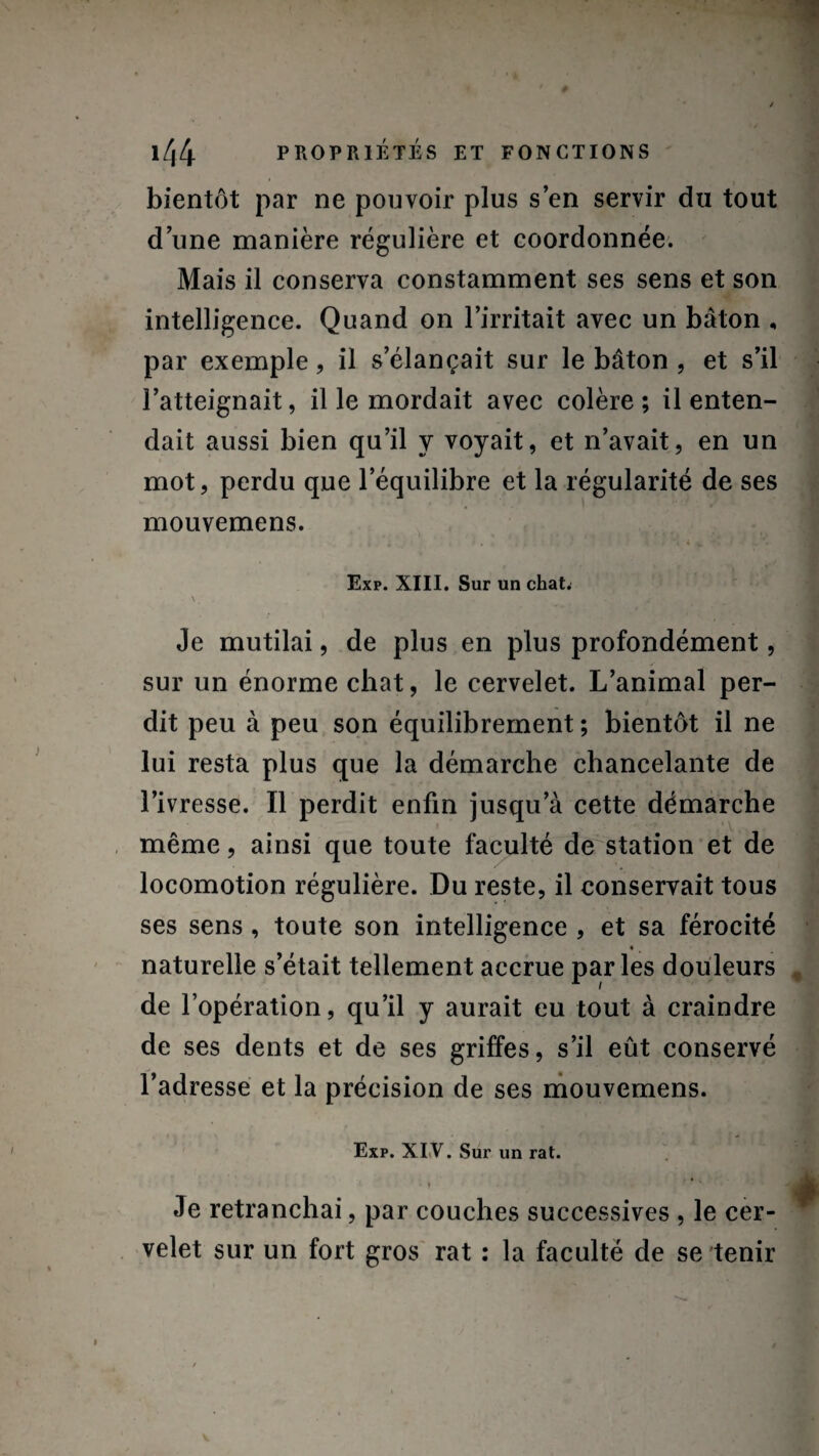 bientôt par ne pouvoir plus s’en servir du tout d’une manière régulière et coordonnée. Mais il conserva constamment ses sens et son intelligence. Quand on l’irritait avec un bâton , par exemple, il s’élançait sur le bâton , et s’il l’atteignait, il le mordait avec colère ; il enten¬ dait aussi bien qu’il y voyait, et n’avait, en un mot, perdu que l’équilibre et la régularité de ses mouvemens. Exp. XIII. Sur un chat. • ' ô-. Je mutilai, de plus en plus profondément, sur un énorme chat, le cervelet. L’animal per¬ dit peu à peu son équilibrement ; bientôt il ne lui resta plus que la démarche chancelante de l’ivresse. Il perdit enfin jusqu’à cette démarche même, ainsi que toute faculté de station et de locomotion régulière. Du reste, il conservait tous ses sens , toute son intelligence , et sa férocité ♦ naturelle s’était tellement accrue par les douleurs de l’opération, qu’il y aurait eu tout à craindre de ses dents et de ses griffes, s’il eût conservé l’adresse et la précision de ses mouvemens. Exp. XIV. Sur un rat. • t ... Je retranchai, par couches successives , le cer¬ velet sur un fort gros rat : la faculté de se tenir