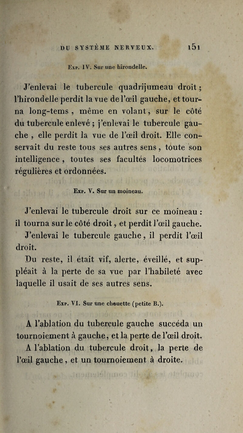 Exp. IV. Sur une hirondelle. J’enlevai le tubercule quadrijumeau droit; l’hirondelle perdit la vue de l’œil gauche, et tour¬ na long-tems , même en volant, sur le côté du tubercule enlevé ; j’enlevai le tubercule gau¬ che , elle perdit la vue de l’œil droit. Elle con¬ servait du reste tous ses autres sens, toute son intelligence, toutes ses facultés locomotrices régulières et ordonnées. Exp. V. Sur un moineau. J’enlevai le tubercule droit sur ce moineau : il tourna sur le côté droit, et perdit l’œil gauche. J’enlevai le tubercule gauche, il perdit l’œil droit. Du reste, il était vif, alerte, éveillé, et sup¬ pléait à la perte de sa vue par l’habileté avec laquelle il usait de ses autres sens. Exp. VI. Sur Une cheuette (petite B.). A l’ablation du tubercule gauche succéda un tournoiement à gauche, et la perte de l’œil droit. À l’ablation du tubercule droit, la perte de l’œil gauche, et un tournoiement à droite.