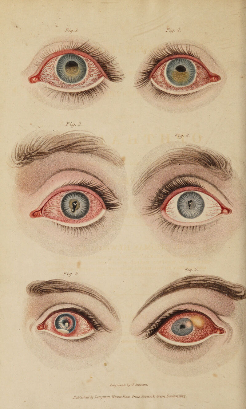 2: Fig- Fig.i. Fig* 4. Fig- 3. Fig- 3. Tig. 6. Eng rawed by E Stewart. TuhlisTied- by LoTLgman.EiLrst.Iiees, OmL&, Brown, k &reen,Zondari2S24.