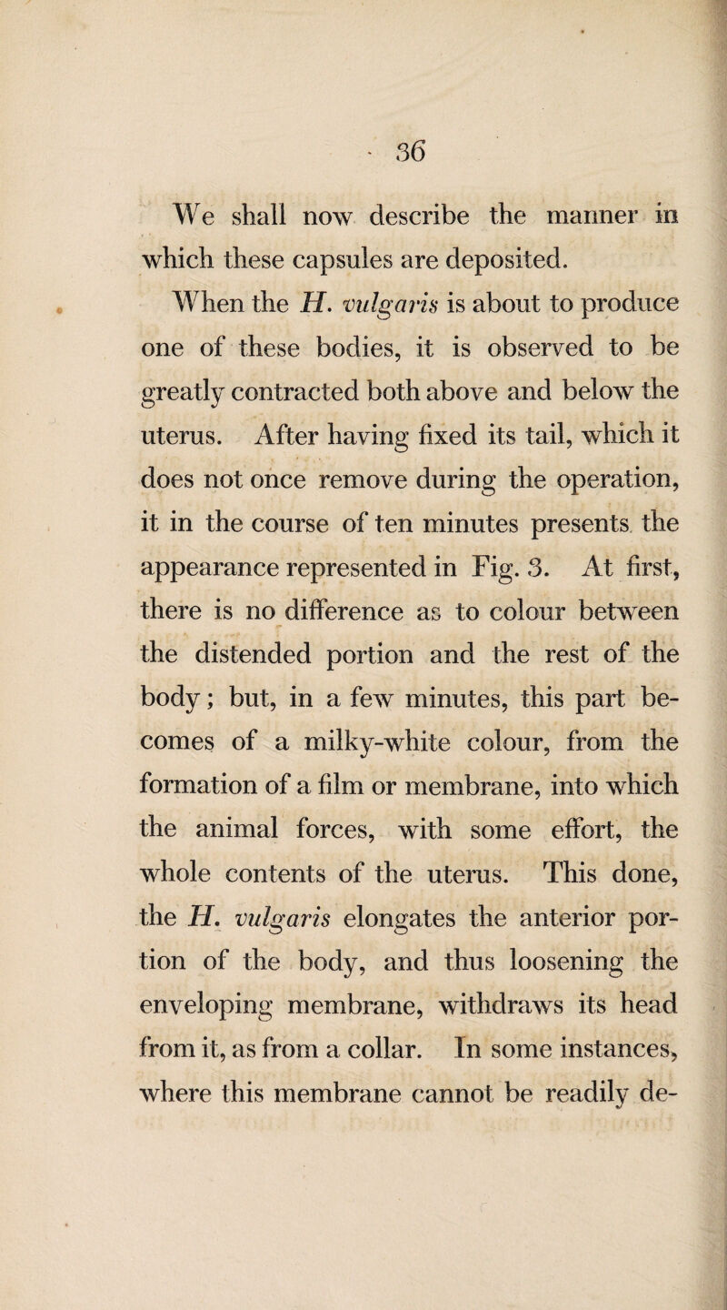 We shall now describe the mariner in which these capsules are deposited. When the H. vulgaris is about to produce one of these bodies, it is observed to be greatly contracted both above and below the uterus. After having fixed its tail, which it does not once remove during the operation, it in the course of ten minutes presents the appearance represented in Fig. 3. At first, there is no difference as to colour between the distended portion and the rest of the body; but, in a few minutes, this part be¬ comes of a milky-white colour, from the formation of a film or membrane, into which the animal forces, with some effort, the whole contents of the uterus. This done, the H. vulgaris elongates the anterior por¬ tion of the body, and thus loosening the enveloping membrane, withdraws its head from it, as from a collar. In some instances, where this membrane cannot be readily de-