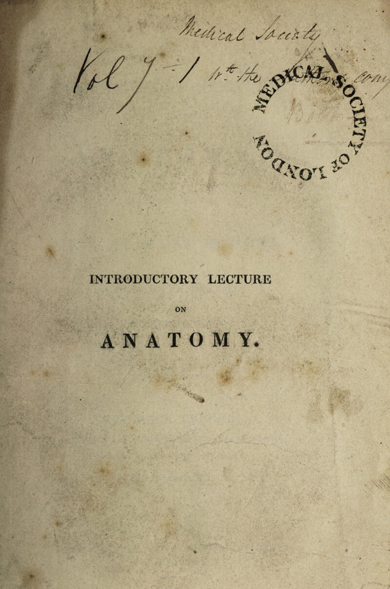 rf jfc- INTRODUCTORY LECTURE ANATOMY. V