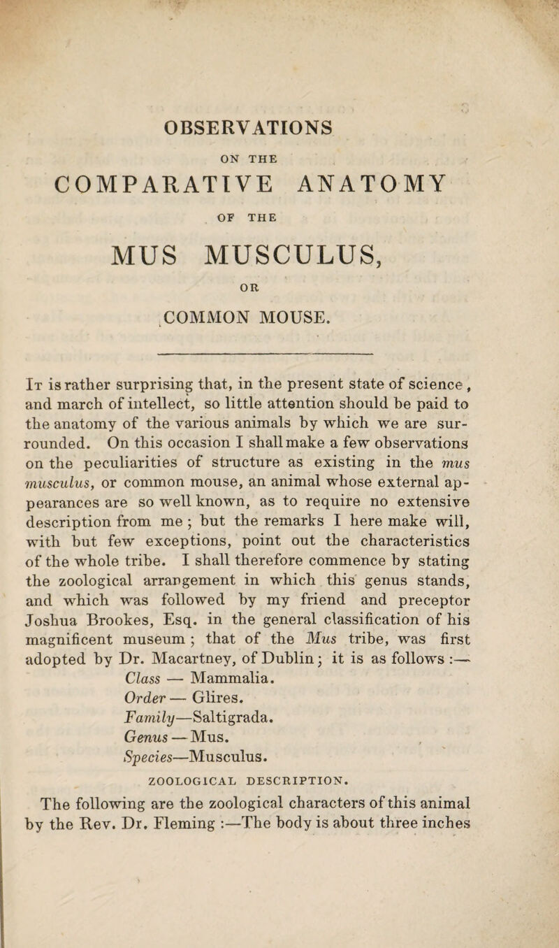 OBSERVATIONS ON THE COMPARATIVE ANATOMY OF THE MUS MUSCULUS, OR COMMON MOUSE. It is rather surprising that, in the present state of science, and march of intellect, so little attention should he paid to the anatomy of the various animals by which we are sur¬ rounded. On this occasion I shall make a few observations on the peculiarities of structure as existing in the mus musculus, or common mouse, an animal whose external ap¬ pearances are so well known, as to require no extensive description from me ; hut the remarks I here make will, with but few exceptions, point out the characteristics of the whole tribe. I shall therefore commence by stating the zoological arrangement in which this genus stands, and which was followed by my friend and preceptor Joshua Brookes, Esq. in the general classification of his magnificent museum ; that of the Mus tribe, was first adopted by Dr. Macartney, of Dublin 3 it is as follows :— Class — Mammalia. Order— Glires. Family—Saltigrada. Genus — Mus. Species—Musculus. ZOOLOGICAL DESCRIPTION. The following are the zoological characters of this animal by the Rev. Dr. Fleming :—The body is about three inches