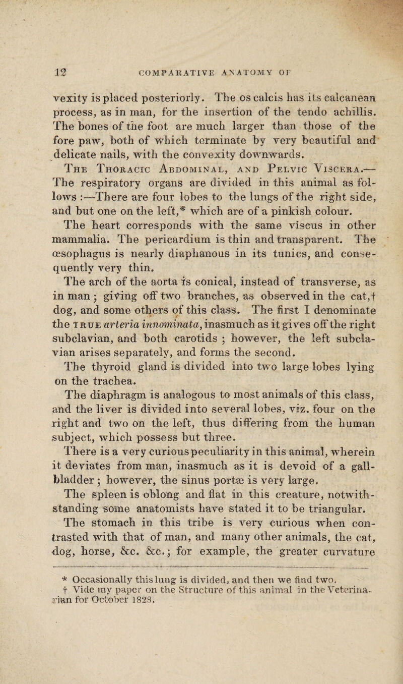 vexity is placed posteriorly. The os calcis has its calcanean process, as in man, for the insertion of the tendo achillis. The bones of the foot are much larger than those of the fore paw, both of which terminate by very beautiful and delicate nails, with the convexity downwards. The Thoracic Abdominal, and Pelvic Viscera.— The respiratory organs are divided in this animal as fol¬ lows :—There are four lobes to the lungs of the right side, and but one on the left,* which are of a pinkish colour. The heart corresponds with the same viscus in other mammalia. The pericardium is thin and transparent. The oesophagus is nearly diaphanous in its tunics, and conse¬ quently very thin. The arch of the aorta is conical, instead of transverse, as in man ; giving off two branches, as observed in the cat,t dog, and some others of this class. The first I denominate the true arteria innominata, inasmuch as it gives off the right subclavian, and both carotids ; however, the left subcla¬ vian arises separately, and forms the second. The thyroid gland is divided into two large lobes lying on the trachea. The diaphragm is analogous to most animals of this class, and the liver is divided into several lobes, viz. four on the right and two on the left, thus differing from the human subject, which possess but three. There is a very curious peculiarity in this animal, wherein it deviates from man, inasmuch as it is devoid of a gall¬ bladder ; however, the sinus port® is very large. The spleen is oblong and flat in this creature, notwith¬ standing some anatomists have stated it to be triangular. The stomach in this tribe is very curious when con¬ trasted with that of man, and many other animals, the cat, dog, horse, &c. &c.; for example, the greater curvature * Occasionally this lung is divided, and then we find two. t Vide my paper on the Structure of this animal in the Veterina¬ rian for October 1828.