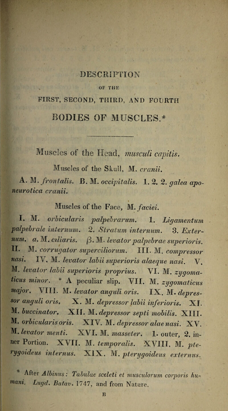 DESCRIPTION OF THE FIRST, SECOND, THIRD, AND FOURTH BODIES OF MUSCLES.* Muscles of the Head, musculi capitis. Muscles of the Skull, M. cran'd. A. M. frontalis. B. M. occipitalis. 1. 2. 2. galea apo- neurotica cranii. Muscles of the Face, M. faciei. I. M. orbicularis palpebrarum. 1. Ligamentum palpebrale internum. 2. Stratum internum. 3. Exter¬ num. a. M. ciliaris. jj. M. levator palpehrae superioris. II. M. corrugator superciliorum. III. M. compressor nasi. IT, M. levator lahii superioris cdaeque nasi. V. M. levator lahii superioris proprius. YI. M. zycjoma- ticus minor. ” A peculiar slip. VII. M. zygomaticus major. VIII. M. levator ctnguli oris. IX. M. depres- \ sor anguli orisa X. M. depressor Icibii inferioris. XI. j M. buccinator. XII. M. depressor septi mobilis. XIII. M. orbicularis oris. XIV. M. depressor alae nasi. XV. M. levator menti. XVI. M. masseter. 1. outer, 2, in¬ ner Portion. XVII. M. temporalis. XVIII, M. pte- rygoideus internus. XIX. M. pterygoideus externus. Aftei Albinus: Tabulae sceleti et musculorum corporis hu- mani. Lugd. Batav. 1747, and from Nature.