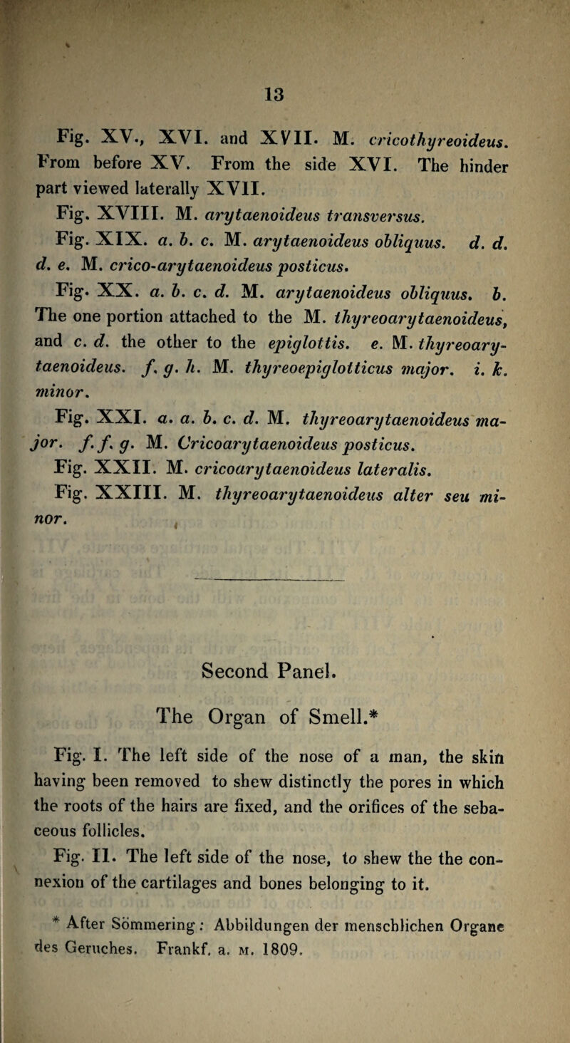 Fig* X-V., XVI. and XVII* M. cricothyreoideus. From before XV. From the side XVI. The hinder part viewed laterally XVII. Fig. XVIII. M. arytaenoideus transversus. Fig. XIX. a. b. c. M. arytaenoideus obliquus. d. d. d. e. M. crico-arytaenoideus posticus. Fig. XX. a. b. c. d. M. arytaenoideus obliquus. b. The one portion attached to the M. thyreoarytaenoideus, and c. d. the other to the epiglottis, e. M. thyreoary- taenoideus. f. g. h. M. thyreoepiglotticus major, i. k. minor. Fig. XXI. a. a. b. c. d. M. thyreoarytaenoideus ma¬ jor. f.f.g. M. Cricoarytaenoideus posticus. Fig. XXII. M. cricoary taenoideus lateralis. Fig. XXIII. M. thyreoarytaenoideus alter seu mi¬ nor. Second Panel. The Organ of Smell.* Fig. I. The left side of the nose of a man, the skin having been removed to shew distinctly the pores in which the roots of the hairs are fixed, and the orifices of the seba¬ ceous follicles. Fig. II. The left side of the nose, to shew the the con¬ nexion of the cartilages and bones belonging to it. * After Sommering; Abbildungen der menscblichen Organe des Geruches. Frankf. a. m. 1809.