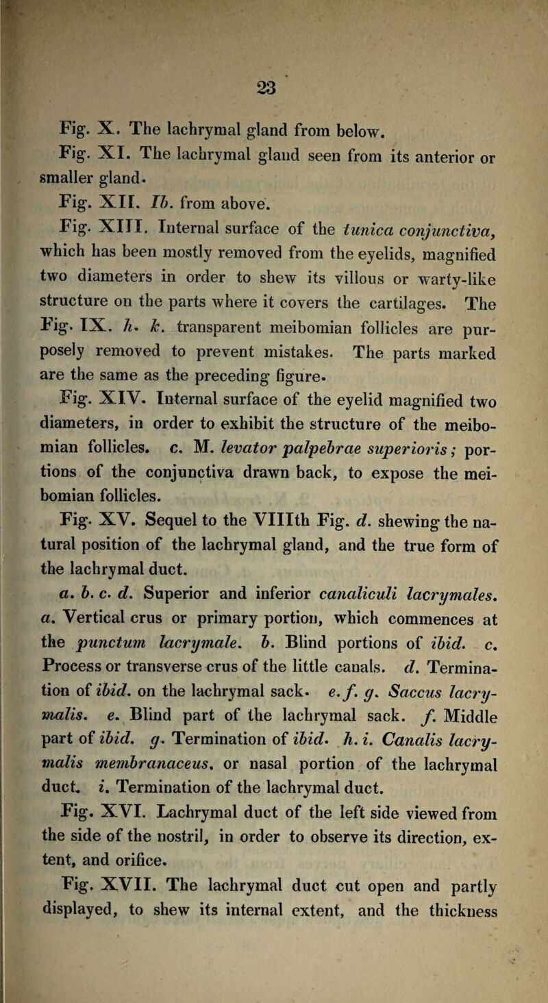 Fig. X. The lachrymal gland from below. Fig. XI. The lachrymal gland seen from its anterior or smaller gland. Fig. XII. Ib. from above. -Fig* XIII. Internal surface of the tunica conjunctiva, which has been mostly removed from the eyelids, magnified two diameters in order to shew its villous or warty-like structure on the parts where it covers the cartilages. The Fig. IX. Ti. k. transparent meibomian follicles are pur¬ posely removed to prevent mistakes. The parts marked are the same as the preceding figure. Fig. XIV. Internal surface of the eyelid magnified two diameters, in order to exhibit the structure of the meibo¬ mian follicles, c. M. levator palpebrae superioris; por¬ tions of the conjunctiva drawn back, to expose the mei¬ bomian follicles. Fig. XV. Sequel to the VUIth Fig. d. shewing the na¬ tural position of the lachrymal gland, and the true form of the lachrymal duct. a. b. c. d. Superior and inferior canaliculi lacrymales. a. Vertical crus or primary portion, which commences at the punctum lacrymale. b. Blind portions of ibid. c. Process or transverse crus of the little canals, d. Termina¬ tion of ibid. on the lachrymal sack. e.f. g. Saccus lacry- malis. e. Blind part of the lachrymal sack. f. Middle part of ibid. g. Termination of ibid. h. i. Canalis lacry- malis membranaceus, or nasal portion of the lachrymal duct. i. Termination of the lachrymal duct. Fig. XVI. Lachrymal duct of the left side viewed from the side of the nostril, in order to observe its direction, ex¬ tent, and orifice. Fig. XVII. The lachrymal duct cut open and partly displayed, to shew its internal extent, and the thickness