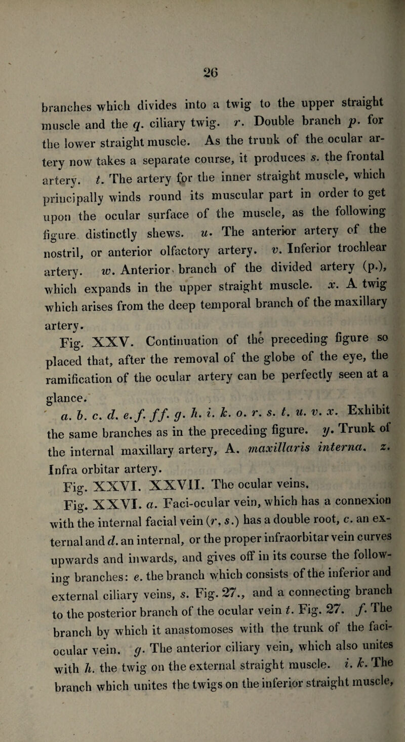 branches which divides into a twig to the upper straight muscle and the q. ciliary twig. r. Double branch p. for the lower straight muscle. As the trunk of the ocular ar¬ tery now takes a separate course, it produces s. the frontal j artery, t. The artery for the inner straight muscle, which principally winds round its muscular part in order to get upon the ocular surface of the muscle, as the following figure distinctly shews, u. The anterior artery of the nostril, or anterior olfactory artery, v. Inferior trochlear artery. w. Anterior - branch of the divided artery (p.), which expands in the upper straight muscle, x. A twig which arises from the deep temporal branch of the maxillary artery. Fig. XXV. Continuation of the preceding figure so placed that, after the removal of the globe of the eye, the ramification of the ocular artery can be perfectly seen at a glance. a. b. c. d. e. f. f /• g> k. °* r- s• Ut Vm x• Exhibit the same branches as in the preceding figure. y» Trunk of the internal maxillary artery, A. maxillaris interna. z. Infra orbitar artery. Fig. XXVI. XXVII. The ocular veins. Fig. XXVI. a. Faci-ocular vein, which has a connexion with the internal facial vein (r, s.) has a double root, c. an ex¬ ternal and d. an internal, or the proper infraorbitar vein curves upwards and inwards, and gives off in its course the follow¬ ing branches: e. the branch which consists of the inferior and external ciliary veins, s. Fig. 27., and a connecting branch to the posterior branch of the ocular vein t. Fig. 27. /. The branch by which it anastomoses with the trunk of the faci- ocular vein. g. The anterior ciliary vein, which also unites with h. the twig on the external straight muscle, i. Jc. The branch which unites the twigs on the inferior straight muscle,
