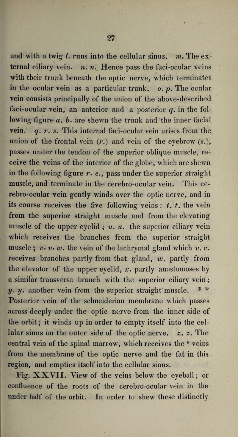 and with a twig l. runs into the cellular sinus, m. The ex¬ ternal ciliary vein, n, n. Hence pass the faci-ocular veins with their trunk beneath the optic nerve, which terminates in the ocular vein as a particular trunk, o.p. The ocular vein consists principally of the union of the above-described faci-ocular vein, an anterior and a posterior q. in the fol¬ lowing figure a. b. are shewn the trunk and the inner facial vein. q. r. s. This internal faci-ocular vein arises from the union of the frontal vein (r.) and vein of the eyebrow (5.), passes under the tendon of the superior oblique muscle, re¬ ceive the veins of the interior of the globe, which are shewn in the following figure r. e., pass under the superior straight muscle, and terminate in the cerebro-ocular vein. This ce- rebro-ocular vein gently winds over the optic nerve, and in its course receives the five following veins : t. t. the vein from the superior straight muscle and from the elevating muscle of the upper eyelid ; u. u. the superior ciliary vein which receives the branches from the superior straight muscle ; v• v» w. the vein of the lachrymal gland which v. v. receives branches partly from that gland, w, partly from the elevator of the upper eyelid, x. partly anastomoses by a similar transverse branch with the superior ciliary vein ; y. y. another vein from the superior straight muscle. * * Posterior vein of the Schneiderian membrane which passes across deeply under the optic nerve from the inner side of the orbit; it winds up in order to empty itself into the cel¬ lular sinus on the outer side of the optic nerve, z. z. The central vein of the spinal marrow, which receives the * veins from the membrane of the optic nerve and the fat in this region, and empties itself into the cellular sinus. Fig. XXVII. View of the veins below the eyeball; or confluence of the roots of the cerebro-ocular vein in the under half of the orbit. In order to shew these distinctly