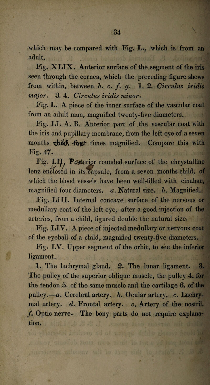 which may be compared with Fig. L., which is from an adult. J Fig. XLIX. Anterior surface of the segment of the iris seen through the cornea, which the preceding figure shews from within, between b. c. f. g. 1. 2. Circulus iridis major. 3. 4, Circulus iridis minor. Fig. L. A piece of the inner surface of the vascular coat from an adult man, magnified twenty-five diameters. Fig. LI. A. B. Anterior part of the vascular coat with the iris and pupillary membrane, from the left eye of a seven months times magnified. Compare this with Fig. 47. Fig. LIL Ptfiteripr rounded surface of the chrystalline lenz enclosed in its capsule, from a seven months child, of which the blood vessels have been well-filled with cinabar, magnified four diameters, a. Natural size, b. Magnified. Fig. LIII. Internal concave surface of the nervous or medullary coat of the left eye, after a good injection of the arteries, from a child, figured double the natural size. Fig. LIV. A piece of injected medullary or nervous coat of the eyeball of a child, magnified twenty-five diameters. Fig. LY. Upper segment of the orbit, to see the inferior ligament. 1. The lachrymal gland. 2. The lunar ligament. 3. The pulley of the superior oblique muscle, the pulley 4. for the tendon 5. of the same muscle and the cartilage 6. of the pulley.—a. Cerebral artery. 6. Ocular artery, c. Lachry¬ mal artery, d. Frontal artery, e. Artery of the nostril. /. Optic nerve. The bony parts do not require explana¬ tion.