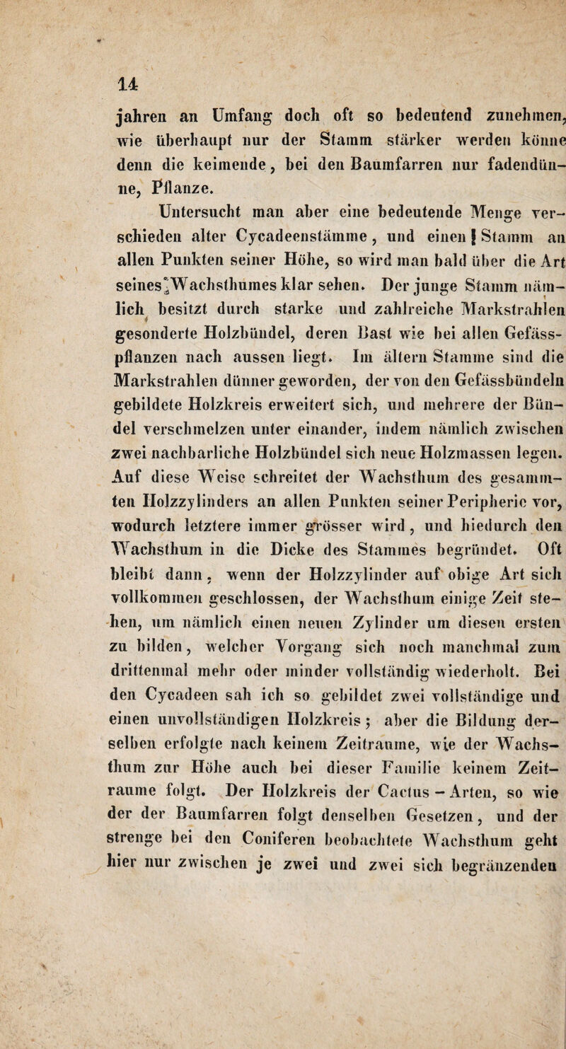 jahren an Umfang doch oft so bedeutend zunehmen, wie Uberhaupt nur der Stamm starker werden koime denn die keimende, bei den Baumfarren nur fadendiin- ne, Fllanze. Untersucht man aber eine bedeutende Menge ver- schieden alter Cycadeenstainme , und einen \ Stamm an alien Punkten seiner Hoke, so wird man bald iiber die Art seines *Wachsthuines klar sehen. Der junge Stamm nam- lich besitzt dureh starke und zahlreiche Markstrahlen gesonderte Holzlmndel, deren Bast wie bei alien Gefass- pflauzen nach aussen liegt. Im altera Starame sind die Markstrahlen diinner geworden, der von den Gefassbiindeln gebildete Holzkreis erweitert sich, und mehrere der Bun- del versclimelzen unter einander, indem namlich zwischen zwei nachbarliche Holzbiindel sick neue Holzmassen legen. Auf diese Weisc schreitet der Wachsthum des eesamm- ten Ilolzzylinders an alien Punkteji seiner Peripherie vor, wodurch letztere immer grosser wird , und hiedurch den Wachsthum in die Dicke des Stamines begriindeU Oft bleibt dann - wenn der Holzzylinder auf obige Art sieh vollkommen geschlossen, der Wachsthum einige Zeit ste- hen, urn namlich einen neuen Zylinder um diesen ersten zu hi Idea, welchcr Yorgang sich noch manchmal zum drittenmal mehr oder minder vollstandig wiederholt. Bei den Cycadeen sail ich so gebildet zwei vollstandige und einen unvollstandigen Holzkreis 5 aber die Bildung der- selben erfolgte nach keinem Zeitranine, wie der Wachs¬ thum zur Hdhe auch bei dieser FainiJie keinem Zeit- raume folgt. Der Holzkreis der Cactus — Arten, so wie der der Baumfarren folgt denselben Gesetzen, und der strenge bei den Coniferen beobachtete Wachsthum geht hier nur zwischen je zwei und zwei sich begranzenden