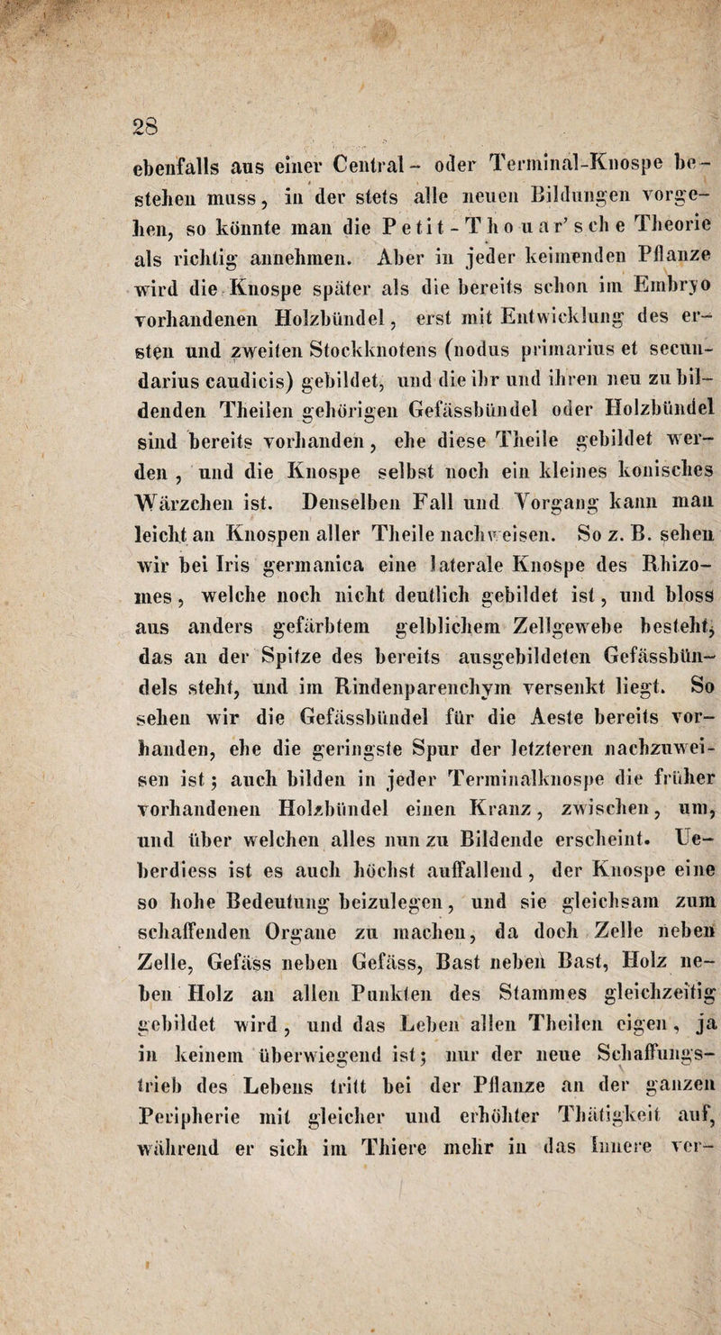 ebenfalls aus einer Central-* oder Terminal-Knospe be- / s steken muss, in dec stets alle neuen Bildungen vorge- hen, so kiinnte man die P e ti t - T li o u a r’s ch e Theorie als ricktig annekmen. Aber in jeder keimenden Pflanze wird die Knospe s pater als die bereits scbon irn Embryo vorkandenen Holzbiindel, erst mit Entwicklung des er- sten und zweiten Stockknotens (nodus primarius et secun- darius caudicis) gebildet, und dieibr und ihren lieu zubil- denden Theilen °;ehorigen Gefassbiindel oder Holzbiindel sind bereits vorkanden, ehe diese Tiieiie gebildet wer- den , und die Knospe selbst nock ein kleines konisckes Warzchen ist. Denselben Fall und Yorgang kann man leickt an Knospen aller Tkeile nackweisen. So z. B. sekeu wir bei Iris gerinanica eine laterale Knospe des Rhizo¬ mes , welche noch nicht deutlich gebildet ist, und bloss aus anders gefarbtem gelblichem Zellgewebe bestehtj das an der Spitze des bereits ausgebildeten Gefassbiin- dels steht, und im Rindenparenckym yersenkt liegk So sehen wir die Gefassbiindel fiir die Aeste bereits vor- handen, ehe die geringste Spur der letzteren nachzuwei- sen ist; auch bilden in jeder Terininalknospe die friiker vorhandenen Holzbiindel einen Kranz, zwischen, um, und liber welchen alles nun zu Bildende erscheint. l e- berdiess ist es auch hochst auffallend, der Knospe eine so hohe Bedeutung beizulegen, und sie gleichsam zum schaffenden Organe zu machen, da doch Zelle neben Zelle, Gefiiss neben Gefiiss, Bast nebeii Bast, Holz ne¬ ben Holz an alien Punkten des Stammes gleichzeitig gebildet wird , und das Leben alien Theilen eigen , ja in keinem iiberwiegend ist; nur der neue Sehaffungs- trieb des Lebens tritt bei der Pflanze an der ganzen Peripherie mit gleicher und erhohter Thatigkeit aul5 wiihrend er sick im Tkiere mekr in das Iimere ver-