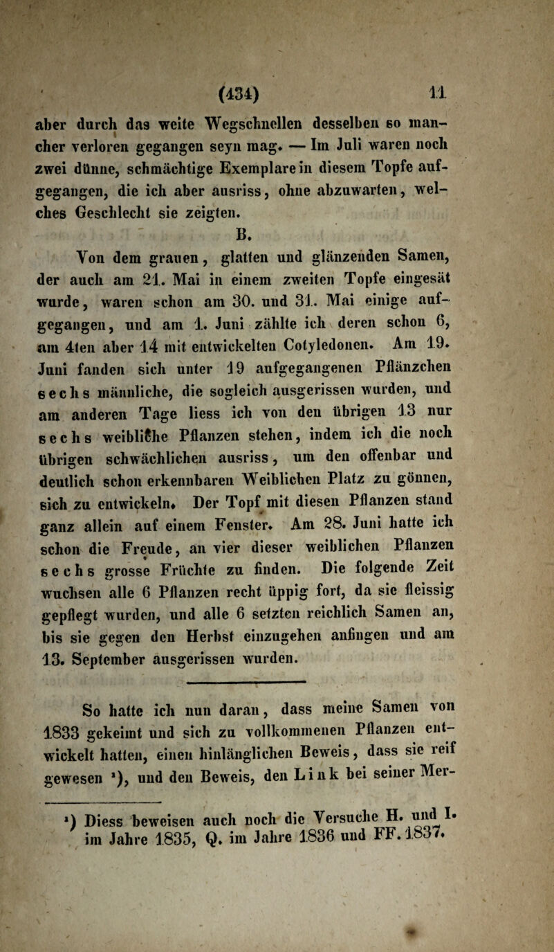 aber durch da9 weite Wegschnellen desselben so man- eher verloren gegangen seyn mag* — Im Juli waren noch zwei dünne, schmächtige Exemplarein diesem Topfe auf¬ gegangen, die ich aber ausriss, ohne abzuwarten, wel¬ ches Geschlecht sie zeigten. • B. Von dem grauen, glatten und glänzenden Samen, der auch am 21. Mai in einem zweiten Topfe eingesät wurde, waren schon am 30. und 34. Mai einige auf¬ gegangen, und am 1. Juni zählte ich deren schon 6, am 4ten aber 14 mit entwickelten Cotyledonen. Am 19* Juni fanden sich unter 19 aufgegangenen Pflänzchen sechs männliche, die sogleich ausgerissen wurden, und am anderen Tage liess ich von den übrigen 13 nur sechs weibliche Pflanzen stehen, indem ich die noch übrigen schwächlichen ausriss, um den offenbar und deutlich schon erkennbaren Weiblichen Platz zu gönnen, sich zu entwickeln* Der Topf mit diesen Pflanzen stand ganz allein auf einem Fenster* Am 28. Juni hatte ich schon die Freude, an vier dieser weiblichen Pflanzen sechs grosse Früchte zu finden. Die folgende Zeit wuchsen alle 6 Pflanzen recht üppig fort, da sie fleissig gepflegt wurden, und alle 6 setzten reichlich Samen an, bis sie gegen den Herbst einzugehen anfingen und am 13. September ausgerissen wurden. So hatte ich nun daran, dass meine Samen von 1833 gekeimt und sich zu vollkommenen Pflanzen ent¬ wickelt hatten, einen hinlänglichen Beweis, dass sie leif gewesen *), und den Beweis, den Link bei seiner Mer- *) Diess beweisen auch noch die Versuche H. und I» im Jahre 1835, Q. im Jahre 1836 und FF. 1837.