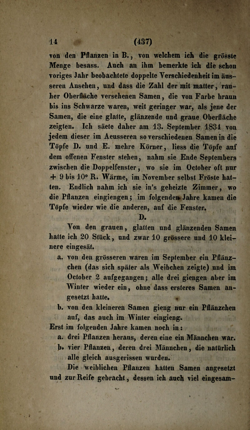 von den Pflanzen in B., von welchem ich die grösste Menge besass. Auch an ihm bemerkte ich die schon voriges Jahr beobachtete doppelte Verschiedenheit im äus¬ seren Ansehen, und dass die Zahl der mit matter, rau¬ her Oberfläche versehenen Samen, die von Farbe braun bis ins Schwarze waren, weit geringer war, als jene der Samen, die eine glatte, glänzende und graue Oberfläche zeigten* Ich säete daher am 13* September 1834 von jedem dieser im Aeusseren so verschiedenen Samen in die Töpfe D. und E. mehre Körner, liess die Töpfe auf dem offenen Fenster stehen, nahm sie Ende Septembers zwischen die Doppelfenster, wo sie im October oft nur + 9 bis 10° R. Wärme, im November selbst Fröste hat¬ ten. Endlich nahm ich sie in’s geheizte Zimmer, wo die Pflanzen eingiengen $ im folgende» Jahre kamen die Töpfe wieder wie die anderen, auf die Fenster* D. Ton den grauen, glatten und glänzenden Samen hatte ich 20 Stück, und zwar 10 grössere und 1.0 klei¬ nere eingesät* a. von den grösseren waren im September ein Pflänz¬ chen (das sich später als Weibchen zeigte) und im October 2 aufgegangen; alle drei giengen aber im Winter wieder ein, ohne dass ersteres Samen an¬ gesetzt hatte* « b. von den kleineren Samen gieng nur ein Pflänzchen auf, das auch im Winter eingieng. Erst im folgenden Jahre kamen noch in: a. drei Pflanzen heraus, deren eine ein Männchen war. b» vier Pflanzen, deren drei Männchen, die natürlich alle gleich ausgerissen wurden* Die weiblichen Pflanzen hatten Samen angesetzt und zur Reife gebracht, dessen ich auch viel eingesam-