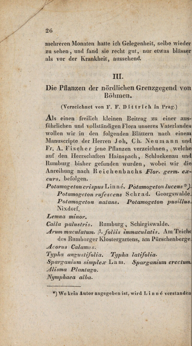 mehreren Monaten hatte ich Gelegenheit, selbe wieder zu sehen, und fand sie recht gut, nur etwas blässer als vor der Krankheit, aussehend. III. Die Pflanzen der nördlichen Grenzgegend von Böhmen. (Verzeichnet von F. F. Dittricli in Prag.) Ais einen freilich kleinen Beitrag zu einer aus¬ führlichen und vollständigen Flora unseres Vaterlandes* wollen wir in den folgenden Blättern nach einem Manuscripte der Herren Johf C h. Neumann und Fr. A. Fischer jene Pflanzen verzeichnen, welche auf den Herrschaften Hainspach, Schluckenau und Rumburg bisher gefunden wurden, wobei wir die Anreihung nach Reichenbachs Flor. germ. ex- curs> befolgen. Potamogetoncrispus Lin n e. Potamogeton lucens Potamogeton mrfesccns S ch r a d. Georgswalde, Potamogeton natans. Potamogeton pusillust Nixdorf. Lemna minor. Calla palustris. Rumburg , Schirgiswalde. uärum maculatum. ß.foliis immaculatis♦ Am Teiche des Rumburger Klostergartens, am Pürschenberge.i u4.corus Calamus. Typlia angustifolia. TypJia latifolia. Spavganium simplex Kam. Sparganiuni er ec tum, jilisma PIanlago. NynipJiaea alba. **) Wo kein Autor angegeben ist, wird L i n n d verstandenj