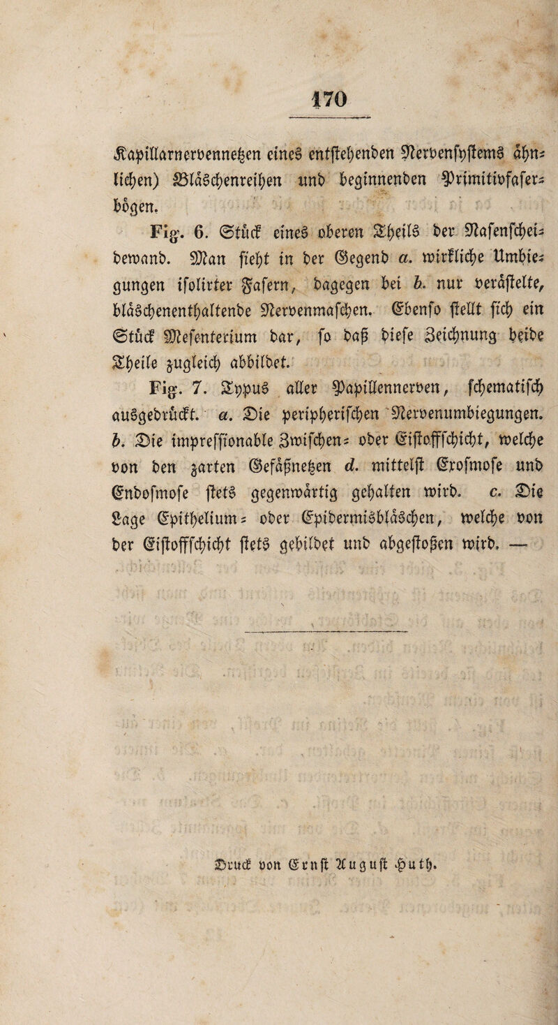 f¥0 $apitlarnemnne£en etneS entflel;enben -ttetbenfyfiemä afytu liefen) iöldScbenrefben unb beginnenben ^Primitiofafers bogen, F%. 6. @tücf eines oberen &beil§ ber ^afenfd)et- beroanb. Sftan fiebt in ber ©egenb a. wirbltcbe ttmbie« gungen ifolirter gafern, bagegen bei h nur oerdfielte, bld§cbenentbaltenbe 9£eroenmafcben. (£benfo jMt fiep ein @tücf sÜtefenterium bar, fo bap biefe Beiebnung beibe ^beÜe ^ugietd) abbilbet. Fig. 7. £t),pu3 aller ^aptHenneroen, fcbematifcb auSgebrücft. a. £>ie ^en>(>erifcben 9^ert>enumbie^ungem b. £)te tmprefftonable Bwifcben^ ober (lijlofffebicbt, welche oon ben garten ©efdpne|en d. mittetjt ^rofmofe unb (Snbofmofe ftet3 gegenwärtig gebalten wirb, c. £)i@ Sage (spttbelium z ober (S:pibermi3bld3cben, welche oon ber (gijfofffcbicbt flet§ gebilbet unb abgeftopen wirb, — oon (Sntft 2£ugup