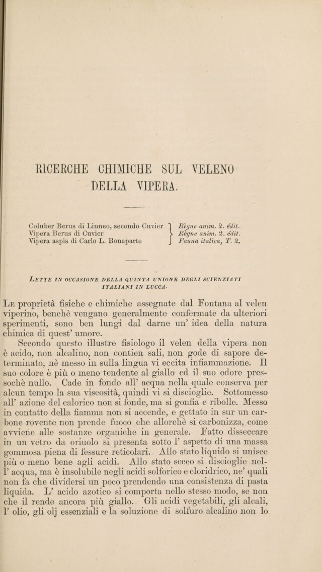 digitised image 3