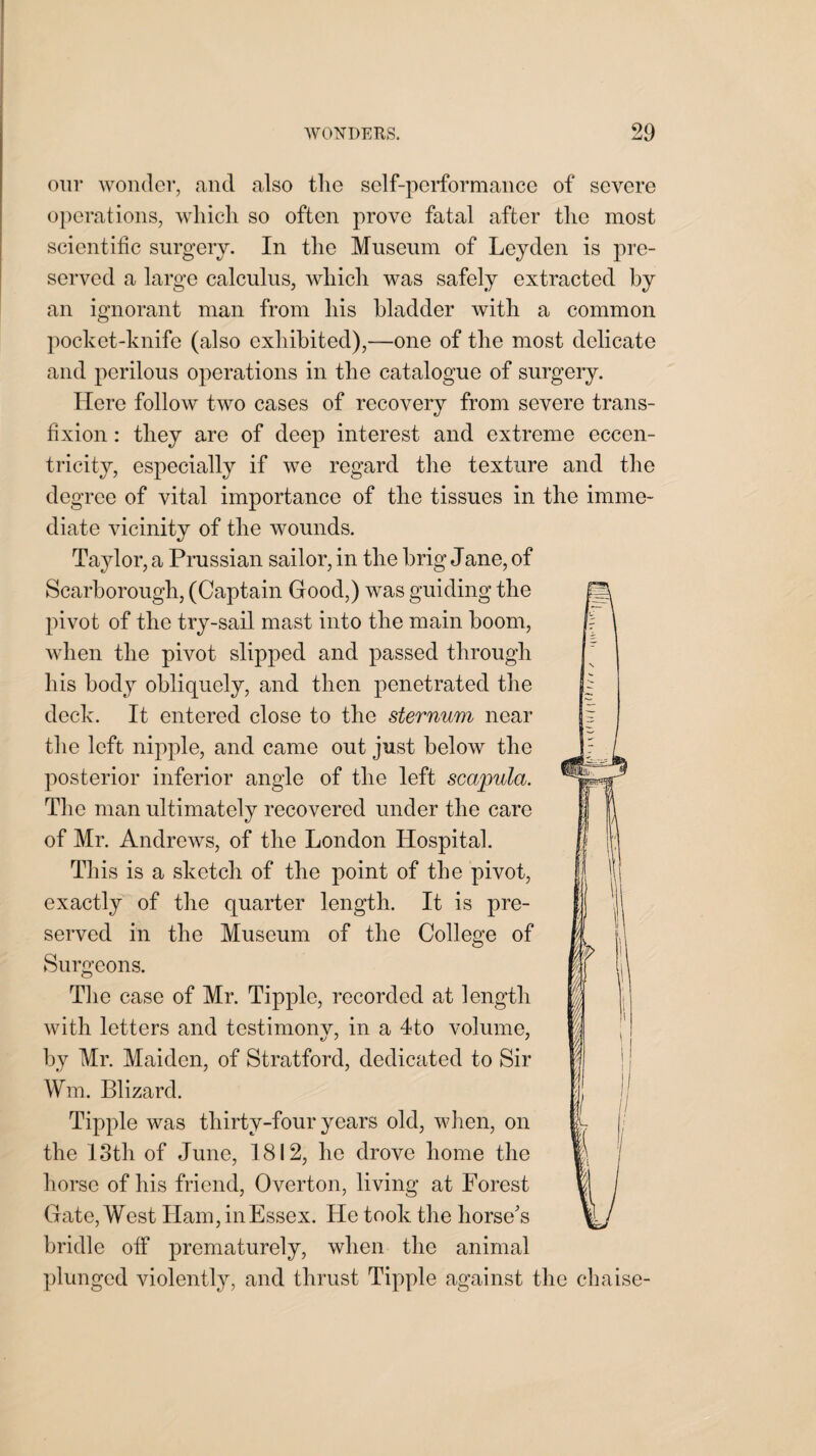 our wonder, and also the self-performance of severe operations, which so often prove fatal after the most scientific surgery. In the Museum of Leyden is pre¬ served a large calculus, which was safely extracted by an ignorant man from his bladder with a common pocket-knife (also exhibited),—one of the most delicate and perilous operations in the catalogue of surgery. Here follow two cases of recovery from severe trans¬ fixion : they are of deep interest and extreme eccen¬ tricity, especially if we regard the texture and the degree of vital importance of the tissues in the imme¬ diate vicinity of the wounds. Taylor, a Prussian sailor, in the brig Jane, of Scarborough, (Captain Good,) was guiding the pivot of the try-sail mast into the main boom, when the pivot slipped and passed through his body obliquely, and then penetrated the deck. It entered close to the sternum near the left nipple, and came out just below the posterior inferior angle of the left scapula. The man ultimately recovered under the care of Mr. Andrews, of the London Hospital. This is a sketch of the point of the pivot, exactly of the quarter length. It is pre¬ served in the Museum of the College of Surgeons. The case of Mr. Tipple, recorded at length with letters and testimonv, in a 4to volume, by Mr. Maiden, of Stratford, dedicated to Sir Wm. Blizard. Tipple was thirty-four years old, when, on the 13th of June, 1812, he drove home the horse of his friend, Overton, living at Forest Gate, West Ham, in Essex. He took the horse's bridle off prematurely, when the animal plunged violently, and thrust Tipple against the chaise-