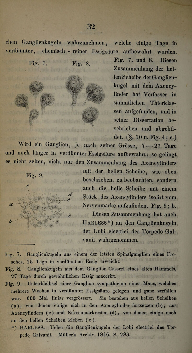 11* 1 lg. i. Fig. 8. • * i * j mm XT\£ Wf *i' pP ■ r r*hon Ganglienkugeln wahrzunehmen, welche einige Tage in verdünnter, chemisch - reiner Essigsäure aufbewahrt worden. Fig. 7. und 8. Diesen Zusammenhang der hel¬ len Scheibe der Ganglien¬ kugel mit dem Axency- linder hat Verfasser in sämmtliclien Thierklas- sen aufgefunden, und in seiner Dissertation be¬ schrieben und abgebil¬ det. (§. 10 u. Fig. 4; c.) Wird ein Ganglion, je nach seiner Grösse, 7 — 27 Tage und noch länger in verdünnter Essigsäure aufbewahrt: so gelingt es nicht selten, nicht nur den Zusammenhang des Axencylinders mit der hellen Scheibe, wie oben beschrieben, zu beobachten, sondern auch die helle Scheibe mit einem i Stück des Axencylinders isolirt vom Nervenmarke aufzufinden. Fig. 9 ; b. Diesen Zusammenhang hat auch HAELESS*) an den Ganglienkugeln der Lobi electrici des Torpedo Gal- vanii wahrgenommen. Fig. 9. e V \ \ , V \ ' ’ * ° ;\ .. tv - * fr .. d - e ~C- CT) ■ f),M»\ . ■ ■ , §4 Mm Fig. 7. Ganglienkugeln aus einem der letzten Spinalganglien eines Fro¬ sches, 25 Tage in verdünntem Essig erweicht. Fig. 8. Ganglienkugeln aus dem Ganglion Gasseri eines alten Hammels, 27 Tage durch gewöhnlichen Essig macerirt. Fig. 9. Ueberhleibscl eines Ganglion sympathicum einer Maus, welches mehrere Wochen in verdünnter Essigsäure gelegen und ganz zerfallen war. 600 Mal liniar vergrössert. Sie bestehen aus hellen Scheiben (a), von denen einige sich in den Axencylinder fortsetzen (b), aus Axencylindern (c) und Ndrvenmarkresten (d), von denen einige noch an den hellen Scheiben kleben ( e ). *) HARLESS. Ueber die Ganglienkugeln der Lobi electrici des Tor¬ pedo Galvanii. Müller’s Archiv 1846. S. 283.