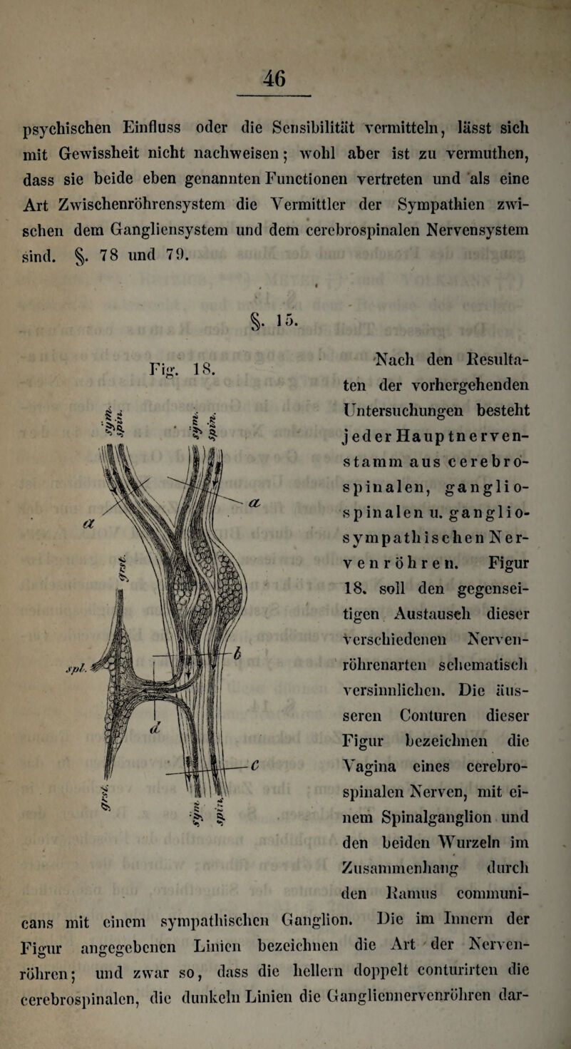psychischen Einfluss oder die Sensibilität vermitteln, lässt sich mit Gewissheit nicht nachweisen; wohl aber ist zu vermuthen, dass sie beide eben genannten Functionen vertreten und als eine Art Zwischenröhrensystem die Vermittler der Sympathien zwi- sehen dem Gangliensystem und dem cerebrospinalen Nervensystem sind. §.78 und 79. Fig. 18. S- 15- 'Nach den Resulta¬ ten der vorhergehenden Untersuchungen besteht jeder Hauptnerven- stamm aus cerebro¬ spinalen, ganglio- spinalen u. ganglio- sympathischen Ner¬ ve n r Ö h r e n. Figur 18. soll den gegensei¬ tigen Austausch dieser verschiedenen Nerven- röhrenarten schematisch versinnlichen. Die äus¬ seren Conturen dieser Figur bezeichnen die Vagina eines cerebro¬ spinalen Nerven, mit ei¬ nem Spinalganglion und den beiden Wurzeln im Zusammenhang durch den Ramus communi- cans mit einem sympathischen Ganglion. Die im Innern der Fisrur angegebenen Linien bezeichnen die Art der Nerven- röhren; und zwar so, dass die hellem doppelt eonturirten die cerebrospinalen, die dunkeln Linien die Gangliennervcnröhren dar-
