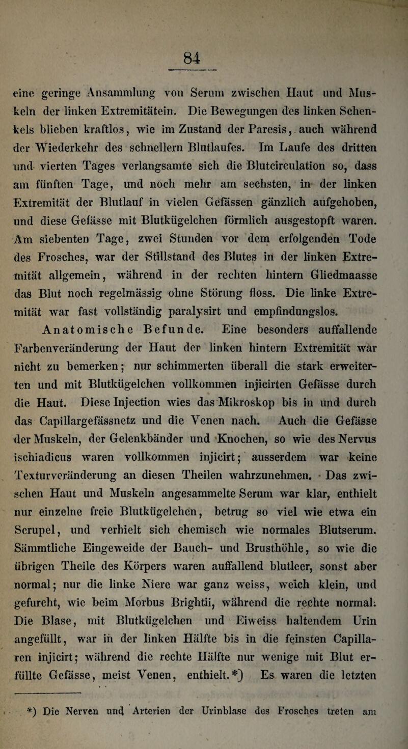 eine geringe Ansammlung von Serum zwischen Haut und Mus¬ keln der linken Extremitätein. Die Bewegungen des linken Schen¬ kels blieben kraftlos, wie im Zustand der Paresis, auch während der Wiederkehr des schnellem Blutlaufes. Im Laufe des dritten und vierten Tages verlangsamte sich die Blutcirculation so, dass am fünften Tage, und noch mehr am sechsten, in der linken Extremität der Blutlauf in vielen Gefässen gänzlich aufgehoben, und diese Gefässe mit Blutkügelchen förmlich ausgestopft waren. Am siebenten Tage, zwei Stunden vor dem erfolgenden Tode des Frosches, war der Stillstand des Blutes in der linken Extre¬ mität allgemein, während in der rechten hintern Gliedmaasse das Blut noch regelmässig ohne Störung floss. Die linke Extre¬ mität war fast vollständig paralysirt und empfindungslos. Anatomische Befunde. Eine besonders auffallende Farbenveränderung der Haut der linken hintern Extremität war nicht zu bemerken; nur schimmerten überall die stark erweiter¬ ten und mit Blutkügelchen vollkommen injicirten Gefässe durch die Haut. Diese Injection wies das Mikroskop bis in und durch das Capillargefässnetz und die Venen nach. Auch die Gefässe der Muskeln, der Gelenkbänder und Knochen, so wie des Nervus ischiadicus waren vollkommen injicirt; ausserdem war keine Texturveränderung an diesen Theilen wahrzunehmen. Das zwi¬ schen Haut und Muskeln angesammelte Serum war klar, enthielt nur einzelne freie Blutkügelchen, betrug so viel wie etwa ein Scrupel, und verhielt sich chemisch wie normales Blutserum. Sämmtliche Eingeweide der Bauch- und Brusthöhle, so wie die übrigen Theile des Körpers waren auffallend blutleer, sonst aber normal; nur die linke Niere war ganz weiss, weich klein, und gefurcht, wie beim Morbus Brightii, während die rechte normal: Die Blase, mit Blutkügelchen und Eiweiss haltendem Urin angefüllt, war in der linken Hälfte bis in die feinsten Capilla- ren injicirt; während die rechte Hälfte nur wenige mit Blut er¬ füllte Gefässe, meist Venen, enthielt.*) Es waren die letzten *) Die Nerven und Arterien der Urinblase des Frosches treten am