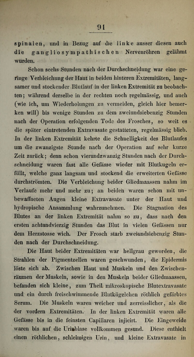 spinalen, und in Bezug auf die linke ausser diesen auch die gangliosympafchischen Nervenröhren gelähmt wurden. Schon sechs Stunden nach der Durchschneidung war eine ge¬ ringe Verbleichung der Haut in beiden hinteren Extremitäten, lang¬ samer und stockender Blutlauf in der linken Extremität zu beobach¬ ten; während derselbe in der rechten noch regelmässig, und auch (wie ich, um Wiederholungen zu vermeiden, gleich hier bemer¬ ken will) bis wenige Stunden zu dem zweiundsiebenzig Stunden nach der Operation erfolgenden Tode des Frosches, so weit es die später eintretenden Extravasate gestatteten, regelmässig blieb. In der linken Extremität kehrte die Schnelligkeit des Blutlaufes um die zwanzigste Stunde nach der Operation auf sehr kurze Zeit zurück; denn schon vierundzwanzig Stunden nach der Durch- sclineidung waren fast alle Gefässe wieder mit Blutkugeln er¬ füllt, welche ganz langsam und stockend die erweiterten Gefässe durchströmten. Die Verbleichung beider Gliedmaassen nahm im Verlaufe mehr und mehr zu; an beiden waren schon mit un- bewaffneten Augen kleine Extravasate unter der Haut und hydropische Ansammlung wahrzunehmen. Die Stagnation des Blutes an der linken Extremität nahm so zu, dass nach den ersten achtundvierzig Stunden das Blut in vielen Gefässen nur dem Herzstosse wich. Der Frosch starb zweiundsiebenzig Stun¬ den nach der Durchschneidung. Die Haut beider Extremitäten war hellgrau geworden, die Strahlen der Pigmentzellen waren geschwunden, die Epidermis löste sich ab. Zwischen Haut und Muskeln und den Zwischen¬ räumen der Muskeln, sowie in den Muskeln beider Gliedmaassen, befanden sich kleine, zum Theil mikroskopische Blutextravasate und ein durch freischwimmende Blutkiigelchcn röthlich gefärbtes Serum. Die Muskeln waren weicher und zerreisslicher, als die der vordem Extremitäten. In der linken Extremität waren alle Gefässe bis in die feinsten Capillaren injicirt. Die Eingeweide waren bis auf die Uriiablase vollkommen gesund. Diese enthielt einen röthlichen, schleimigen Urin, und kleine Extravasate in