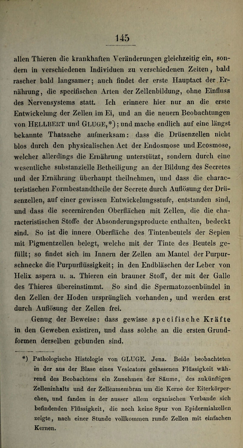 allen Thieren die krankhaften Veränderungen gleichzeitig ein, son¬ dern in verschiedenen Individuen zu verschiedenen Zeiten, bald rascher bald langsamer; auch findet der erste Hauptact der Er¬ nährung, die specifischen Arten der Zellenbildung, ohne Einfluss des Nervensystems statt. Ich erinnere hier nur an die erste Entwickelung der Zellen im Ei, und an die neuern Beobachtungen von HELLBEKT und GLUGE,*);und mache endlich auf eine längst bekannte Thatsache aufmerksam: dass die Drüsenzellen nicht blos durch den physicalischen Act der Endosmose und Ecosmose, welcher allerdings die Ernährung unterstützt, sondern durch eine wesentliche substanzielle Betheiligung an der Bildung des Secretes und der Ernährung überhaupt theilnehmen, und dass die cliarac- teristischen Formbestandtheile der Secrete durch Auflösung der Drü¬ senzellen, auf einer gewissen Entwickelungsstufe, entstanden sind, und dass die secernirenden Oberflächen mit Zellen, die die cha- racteristisclien Stoffe der Absonderungsproductc enthalten, bedeckt sind. So ist die innere Oberfläche des Tintenbeutels der Sepien mit Pigmentzellen belegt, welche mit der Tinte des Beutels ge¬ füllt; so findet sich im Innern der Zellen am Mantel der Purpur¬ schnecke die Purpurflüssigkeit; in den Endbläschen der Leber von Helix aspera u. a. Thieren ein brauner Stoff, der mit der Galle des Thieres übereinstimmt. So sind die Spermatozoenbiindel in den Zellen der Hoden ursprünglich vorhanden, und werden erst durch Auflösung der Zellen frei. Genug der Beweise: dass gewisse specifische Kräfte in den Geweben existiren, und dass solche an die ersten Grund¬ formen derselben gebunden sind. *) Pathologische Histologie von GLUGE. Jena. Beide beobachteten in der aus der Blase eines Vesicators gelassenen Flüssigkeit wäh¬ rend des Beobachtens ein Zunehmen der Säume, des zukünftigen Zelleninhalts und der Zellenmembran um die Kerne der Eiterkörper¬ chen, und fanden in der ausser allem organischen Verbände sich befindenden Flüssigkeit, die noch keine Spur von Epidermialzellen zeigte, nach einer Stunde vollkommen runde Zellen mit einfachen Kernen.