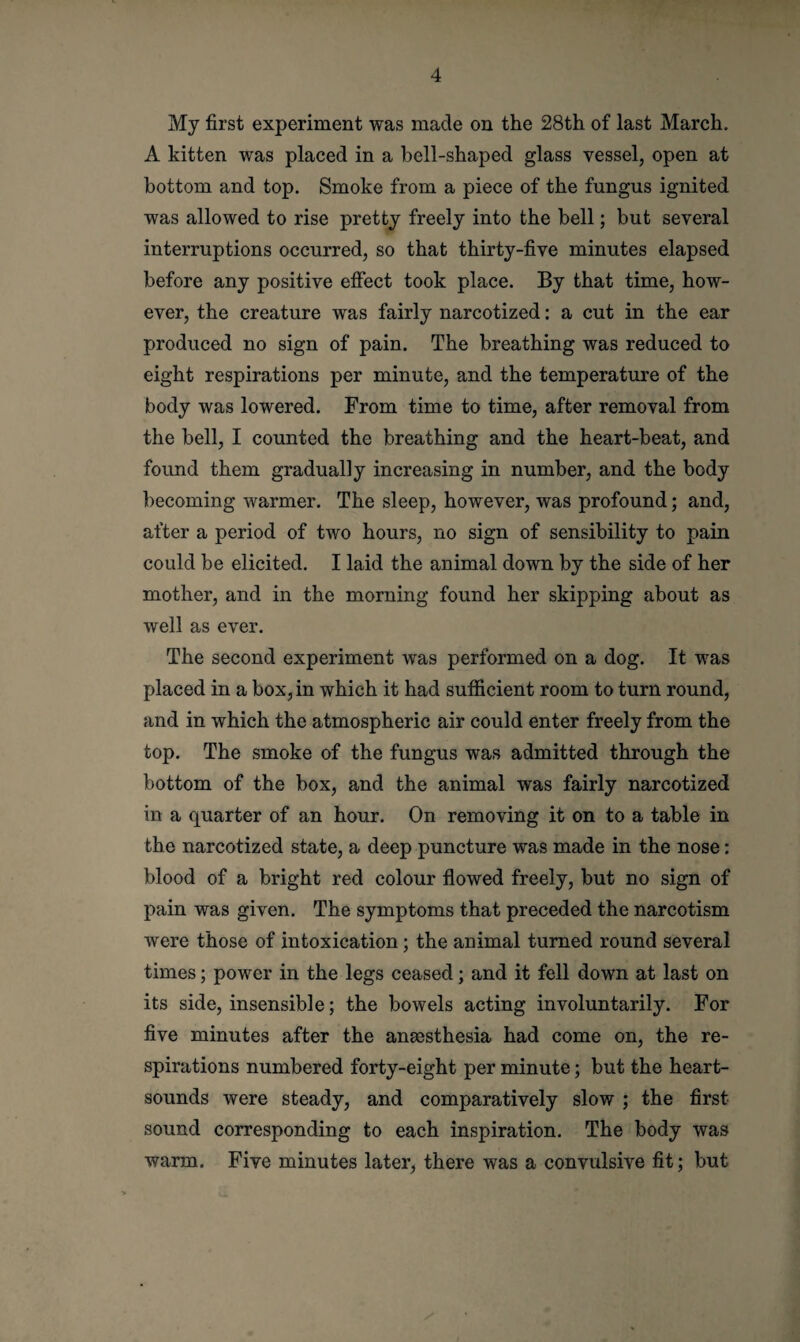 My first experiment was made on the 28th of last March. A kitten was placed in a bell-shaped glass vessel, open at bottom and top. Smoke from a piece of the fungus ignited was allowed to rise pretty freely into the bell; but several interruptions occurred, so that thirty-five minutes elapsed before any positive effect took place. By that time, how¬ ever, the creature was fairly narcotized: a cut in the ear produced no sign of pain. The breathing was reduced to eight respirations per minute, and the temperature of the body was lowered. From time to time, after removal from the bell, I counted the breathing and the heart-beat, and found them gradually increasing in number, and the body becoming warmer. The sleep, however, was profound; and, after a period of two hours, no sign of sensibility to pain could be elicited. I laid the animal down by the side of her mother, and in the morning found her skipping about as well as ever. The second experiment was performed on a dog. It was placed in a box, in which it had sufficient room to turn round, and in which the atmospheric air could enter freely from the top. The smoke of the fungus was admitted through the bottom of the box, and the animal was fairly narcotized in a quarter of an hour. On removing it on to a table in the narcotized state, a deep puncture was made in the nose: blood of a bright red colour flowed freely, but no sign of pain was given. The symptoms that preceded the narcotism were those of intoxication; the animal turned round several times; power in the legs ceased; and it fell down at last on its side, insensible; the bowels acting involuntarily. For five minutes after the anaesthesia had come on, the re¬ spirations numbered forty-eight per minute; but the heart- sounds were steady, and comparatively slow ; the first sound corresponding to each inspiration. The body was warm. Five minutes later, there was a convulsive fit; but