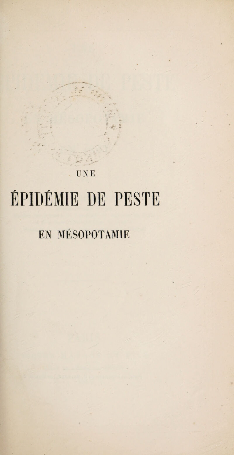 w r EN MÉSOPOTAMIE