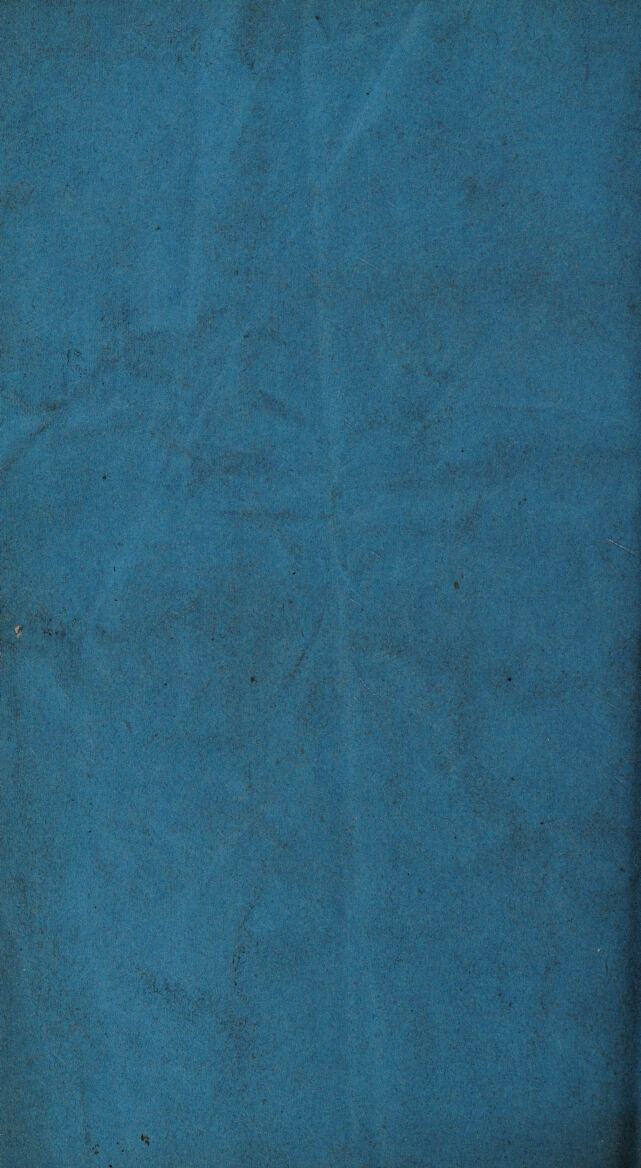 digitised image 2