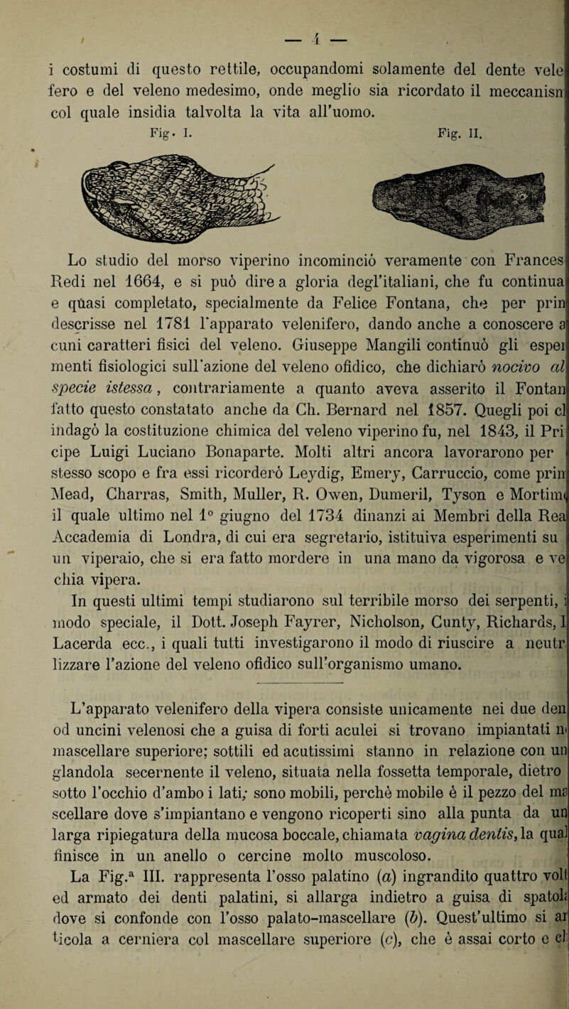 i costumi di questo rettile, occupandomi solamente del dente vele fero e del veleno medesimo, onde meglio sia ricordato il meccanisn col quale insidia talvolta la vita all’uomo. Fig. I. Fig. II. Lo studio del morso viperino incominciò veramente con Frances Redi nel 1664, e si può direa gloria degl’italiani, che fu continua; e quasi completato, specialmente da Felice Fontana, che per prin! descrisse nel 1781 l’apparato velenifero, dando anche a conoscere ai cuni caratteri fìsici del veleno. Giuseppe Mangili continuò gli esper menti fisiologici sull’azione del veleno ofìdico, che dichiarò nocivo al specie istessa, contrariamente a quanto aveva asserito il Fontani fatto questo constatato anche da Gh. Bernard nel 1857. Quegli poi cl indagò la costituzione chimica del veleno viperino fu, nel 1843, il Pri cipe Luigi Luciano Bonaparte. Molti altri ancora lavorarono per stesso scopo e fra essi ricorderò Leydig, Emery, Garruccio, come prin Mead, Charras, Smith, Muller, R. Owen, Dumeril, Tyson e Mortiim il quale ultimo nel 1° giugno del 1734 dinanzi ai Membri della Rea Accademia di Londra, di cui era segretario, istituiva esperimenti su \ un viperaio, che si era fatto mordere in una mano da vigorosa e ve chia vipera. In questi ultimi tempi studiarono sul terribile morso dei serpenti, ij modo speciale, il Doti. Joseph Fayrer, Nicholson, Gunty, Richards, I Lacerda ecc., i quali tutti investigarono il modo di riuscire a neutr lizzare Fazione del veleno ofìdico suH’organismo umano. L’apparato velenifero della vipera consiste unicamente nei due den od uncini velenosi che a guisa di forti aculei si trovano impiantati m mascellare superiore; sottili ed acutissimi stanno in relazione con un glandola secernente il veleno, situata nella fossetta temporale, dietro sotto l’occhio d’ambo i lati; sono mobili, perchè mobile è il pezzo del ms sceliare dove s’impiantano e vengono ricoperti sino alla punta da un larga ripiegatura della mucosa boccale, chiamata vagina dentis, la qua. finisce in un anello o cercine molto muscoloso. La Fig.a III. rappresenta l’osso palatino (a) ingrandito quattro volt ed armato dei denti palatini, si allarga indietro a guisa di spatole dove si confonde con l’osso palato-mascellare (b). Quest’ultimo si ai ticola a cerniera col mascellare superiore (c), che è assai corto e cl