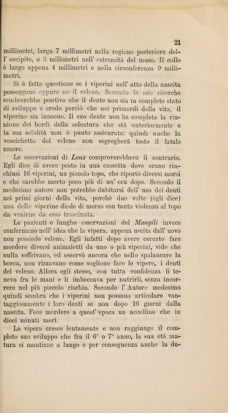 millimetri, larga 7 millimetri nella regione posteriore del- F occipite, e 3 millimetri nell’ estremità del muso. Il collo è largo appena 4 millimetri e nella circonferenza 9 milli¬ metri. Si è fatta questione se i viperini nell’ atto della nascita posseggano oppure no il veleno. Secondo le mie ricerche sembrerebbe positivo che il dente nou sia m completo stato di sviluppo e credo perciò che nei primordi della vita, il viperino sia innocuo. Il suo dente non ba completa la riu¬ nione dei bordi della solcatura che sta anteriormente e la sua solidità non è punto assicurata: quindi anche la vescichetta del veleno non segregherà tosto il fatale umore. Le osservazioni di Lenz comproverebbero il contrario. Egli dice di avere posto in una cassetta dove erano rin¬ chiusi 16 viperini, un piccolo topo, che riportò diversi morsi e che sarebbe morto poco più di un ora dopo. Secondo il medesimo autore non potrebbe dubitarsi dell’ uso dei denti nei primi giorni della vita, perchè due volte (egli dice) una delle viperine diede di morso con tanta violenza al topo da venirne da esso trascinata. Le pazienti e lunghe osservazioni del Mangili invece confermano nell’ idea che la vipera, appena uscita dall’ uovo non possiede veleno. Egli infatti dopo avere cercato fare mordere diversi animaletti da uno o più viperini, vide che nulla soffrivano, ed osservò ancora che nello spalancare la bocca, non rizzavano come sogliono fare le vipere, i denti del veleno. Allora egli stesso, con tutta confidenza li te¬ neva fra le mani e li imboccava per nutrirli, senza incor¬ rere nel più piccolo rischio. Secondo 1’ xlutore medesimo quindi sembra che i viperiui non possano articolare van¬ taggiosamente i loro denti se non dopo 16 giorni dalla nascita. Fece mordere a quest’ epoca ud uccellino che in dieci minuti morì. La vipera cresce lentamente e non raggiunge il com¬ pleto suo sviluppo che fra il 6° o 7° anno, la sua età ma¬ tura si mantiene a lungo e per conseguenza anche la du-