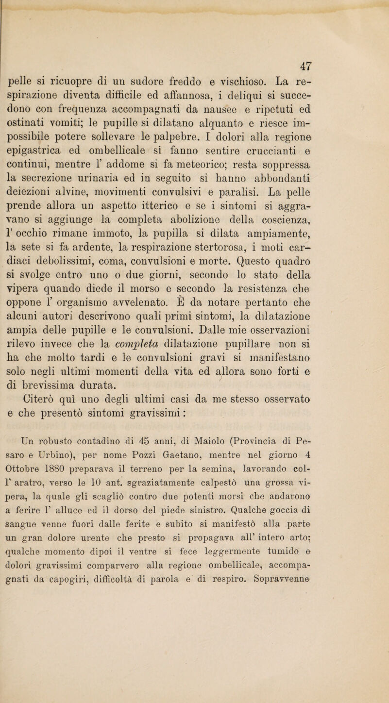 pelle si ricuopre di un sudore freddo e vischioso. La re¬ spirazione diventa difficile ed affannosa, i deliqui si succe¬ dono con frequenza accompagnati da nausee e ripetuti ed ostinati vomiti; le pupille si dilatano alquanto e riesce im¬ possibile potere sollevare le palpebre. I dolori alla regione epigastrica ed ombelicale si fanno sentire cruecianti e continui, mentre Y addome si fa meteorico; resta soppressa la secrezione urinaria ed in seguito si hanno abbondanti deiezioni alvine, movimenti convulsivi e paralisi. La pelle prende allora un aspetto itterico e se i sintomi si aggra¬ vano si aggiunge la completa abolizione della coscienza, 1’ occhio rimane immoto, la pupilla si dilata ampiamente, la sete si fa ardente, la respirazione stertorosa, i moti car¬ diaci debolissimi, coma, convulsioni e morte. Questo quadro si svolge entro uno o due giorni, secondo lo stato della vipera quando diede il morso e secondo la resistenza che oppone 1’ organismo avvelenato. E da notare pertanto che alcuni autori descrivono quali primi sintomi, la dilatazione ampia delle pupille e le convulsioni. Dalle mie osservazioni rilevo invece che la compieta dilatazione pupillare non si ha che molto tardi e le convulsioni gravi si manifestano solo negli ultimi momenti della vita ed allora sono forti e di brevissima durata. Citerò qui uno degli ultimi casi da me stesso osservato e che presentò sintomi gravissimi : Un robusto contadino di 45 anni, di Maiolo (Provincia di Pe¬ saro e Urbino), per nome Pozzi Gaetano, mentre nel giorno 4 Ottobre 1880 preparava il terreno per la semina, lavorando col- P aratro, verso le 10 ant. sgraziatamente calpestò una grossa vi¬ pera, la quale gli scagliò contro due potenti morsi che andarono a ferire V alluce ed il dorso del piede sinistro. Qualche goccia di sangue venne fuori dalle ferite e subito si manifestò alla parte un gran dolore urente che presto si propagava all’ intero arto; qualche momento dipoi il ventre si fece leggermente tumido e dolori gravissimi comparvero alla regione ombelicale, accompa¬ gnati da capogiri, difficoltà di parola e di respiro. Sopravvenne