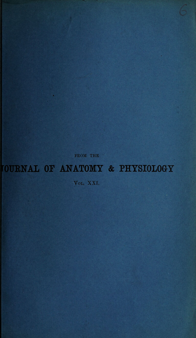 OUENAL OF ANATOMY & PHYSIOLOGY Vol, xxr.