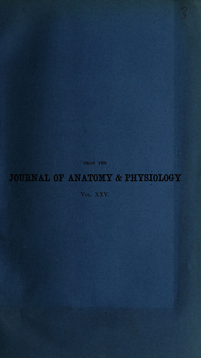 digitised image 1