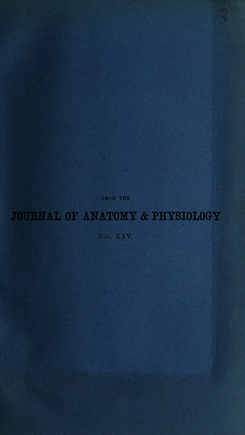 PROM THE JOURNAL OR ANATOMY & PHYSIOLOGY Yol. XXV.