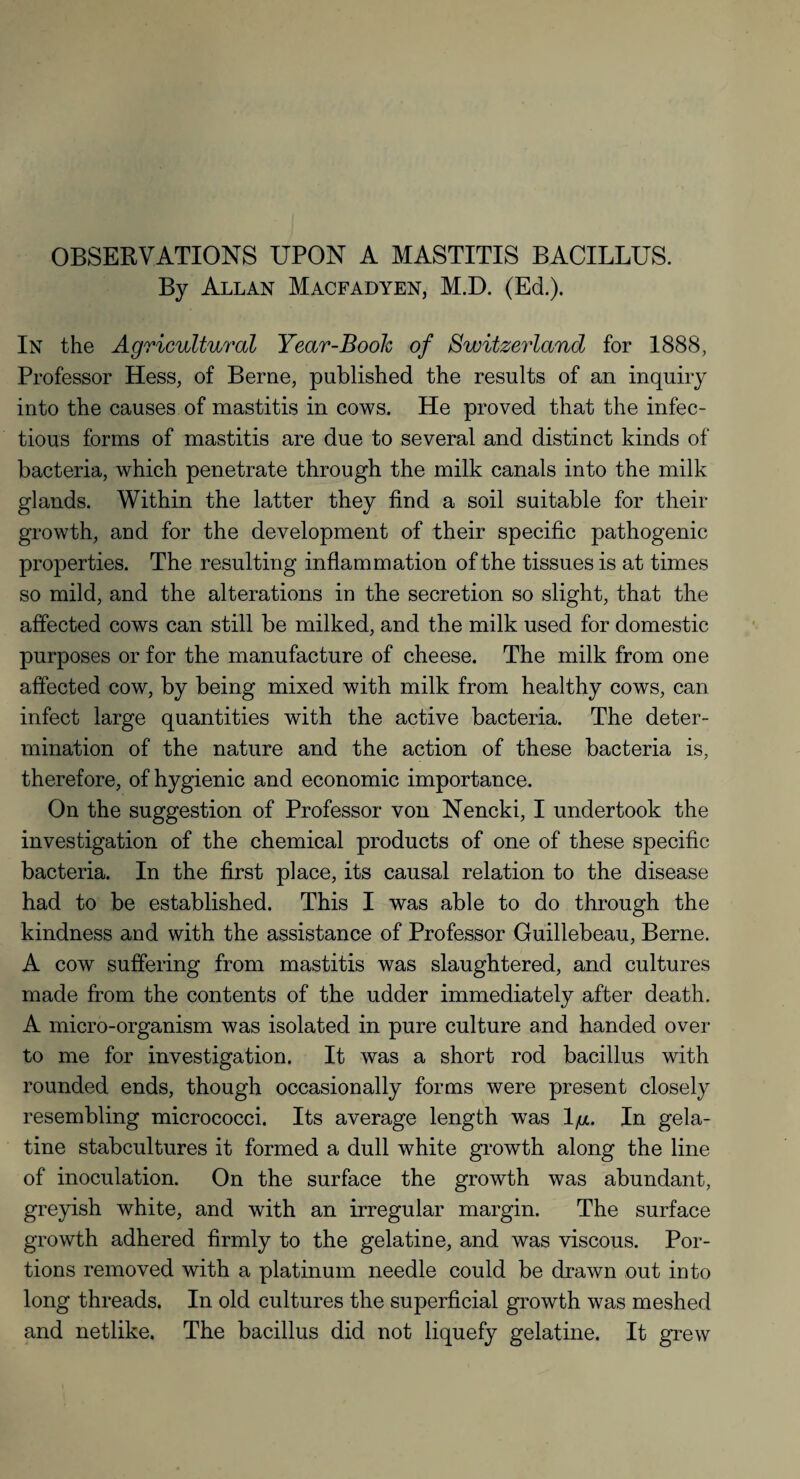 OBSERVATIONS UPON A MASTITIS BACILLUS. By Allan Macfadyen, M.D. (Ed.). In the Agricultural Year-Book of Switzerland for 1888, Professor Hess, of Berne, published the results of an inquiry into the causes of mastitis in cows. He proved that the infec¬ tious forms of mastitis are due to several and distinct kinds of bacteria, which penetrate through the milk canals into the milk glands. Within the latter they find a soil suitable for their growth, and for the development of their specific pathogenic properties. The resulting inflammation of the tissues is at times so mild, and the alterations in the secretion so slight, that the affected cows can still be milked, and the milk used for domestic purposes or for the manufacture of cheese. The milk from one affected cow, by being mixed with milk from healthy cows, can infect large quantities with the active bacteria. The deter¬ mination of the nature and the action of these bacteria is, therefore, of hygienic and economic importance. On the suggestion of Professor von Nencki, I undertook the investigation of the chemical products of one of these specific bacteria. In the first place, its causal relation to the disease had to be established. This I was able to do through the kindness and with the assistance of Professor Guillebeau, Berne. A cow suffering from mastitis was slaughtered, and cultures made from the contents of the udder immediately after death. A micro-organism was isolated in pure culture and handed over to me for investigation. It was a short rod bacillus with rounded ends, though occasionally forms were present closely resembling micrococci. Its average length was 1/x. In gela¬ tine stabcultures it formed a dull white growth along the line of inoculation. On the surface the growth was abundant, greyish white, and with an irregular margin. The surface growth adhered firmly to the gelatine, and was viscous. Por¬ tions removed with a platinum needle could be drawn out into long threads. In old cultures the superficial growth was meshed and netlike. The bacillus did not liquefy gelatine. It grew