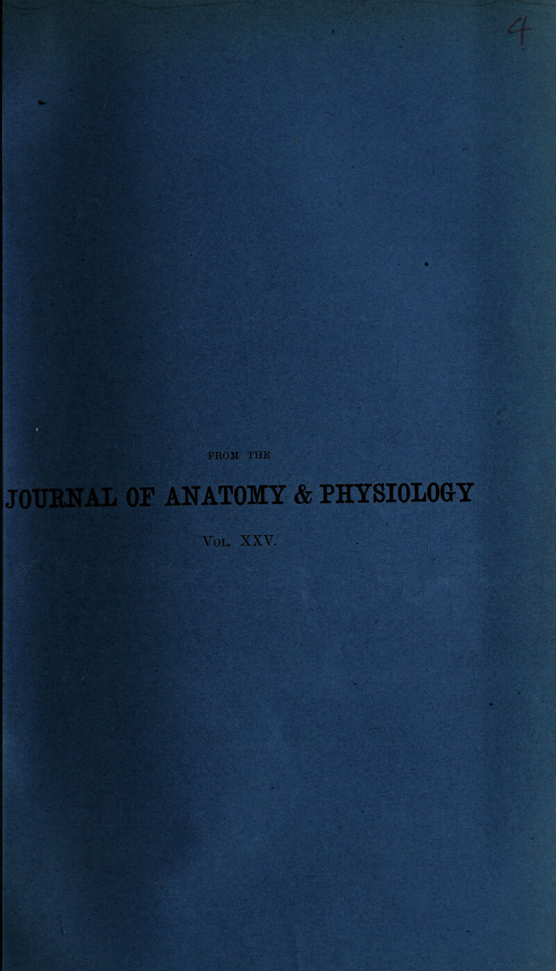 JOUENAL OF ANATOMY & PHYSIOLOGY Vol. XXY.