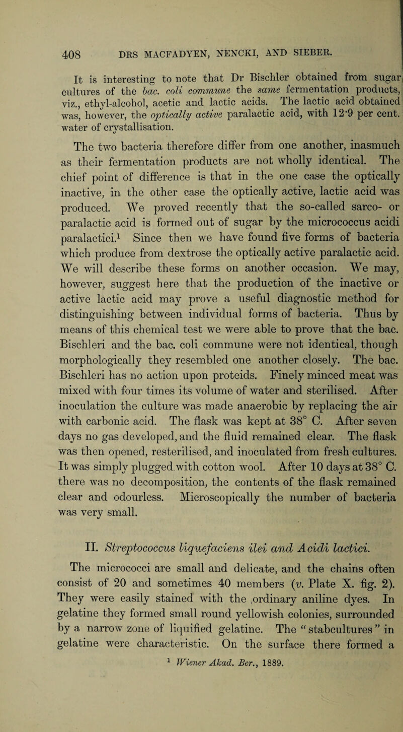 It is interesting to note that Dr Bischler obtained from sugar cultures of the bac. coli commune the same fermentation products, viz., ethyl-alcohol, acetic and lactic acids. The lactic acid obtained was, however, the optically active paralactic acid, with 12‘9 per cent, water of crystallisation. The two bacteria therefore differ from one another, inasmuch as their fermentation products are not wholly identical. The chief point of difference is that in the one case the optically inactive, in the other case the optically active, lactic acid was produced. We proved recently that the so-called sarco- or paralactic acid is formed out of sugar by the micrococcus acidi paralactici.1 Since then we have found five forms of bacteria which produce from dextrose the optically active paralactic acid. We will describe these forms on another occasion. We may, however, suggest here that the production of the inactive or active lactic acid may prove a useful diagnostic method for distinguishing between individual forms of bacteria. Thus by means of this chemical test we were able to prove that the bac. Bischleri and the bac. coli commune were not identical, though morphologically they resembled one another closely. The bac. Bischleri has no action upon proteids. Finely minced meat was mixed with four times its volume of water and sterilised. After inoculation the culture was made anaerobic by replacing the air with carbonic acid. The flask was kept at 38° C. After seven days no gas developed, and the fluid remained clear. The flask was then opened, resterilised, and inoculated from fresh cultures. It was simply plugged.with cotton wool. After 10 days at 38° C. there was no decomposition, the contents of the flask remained clear and odourless. Microscopically the number of bacteria was very small. II. Streptococcus liquefaciens ilei and Acidi lactici. The micrococci are small and delicate, and the chains often consist of 20 and sometimes 40 members (v. Plate X. fig. 2). They were easily stained with the .ordinary aniline dyes. In gelatine they formed small round yellowish colonies, surrounded by a narrow zone of liquified gelatine. The “ stabcultures ” in gelatine were characteristic. On the surface there formed a 1 Wiener Akad. Ber., 1889.