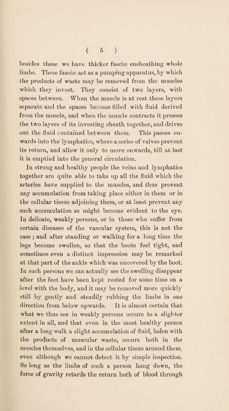 besides these we have thicker fascite ensheathing whole limbs. These fasciae act as a pumping apparatus, by which the products of waste may be removed from the muscles which they invest. They consist of two layers, with spaces between. When the muscle is at rest these layers separate and the spaces become filled with fluid derived from the muscle, and when the muscle contracts it presses the two layers of its investing sheath together, and drives out the fluid contained between them. This passes on¬ wards into the lymphatics, where a series of valves prevent its return, and allow it only to move onwards, till at last it is emptied into the general circulation. In strong and healthy people the veins and lymphatics together are quite able to take up all the fluid which the arteries have supplied to the muscles, and thus prevent any accumulation from taking place either in them or in the cellular tissue adjoining them, or at least prevent any such accumulation as might become evident to the eye. In delicate, weakly persons, or in those who suffer from certain diseases of the vascular system, this is not the case ; and after standing or walking for a long time the legs become swollen, so that the boots feel tight, and sometimes even a distinct impression may be remarked at that part of the ankle which was uncovered by the boot. In such persons we can actually see the swelling disappear after the feet have been kept rested for some time on a level with the body, and it may be removed more quickly still by gently and steadily rubbing the limbs in one direction from below upwards. It is almost certain that what we thus see in weakly persons occurs to a slighter extent in all, and that even in the most healthy person after a long walk a slight accumulation of fluid, laden with the products of muscular waste, occurs both in the muscles themselves, and in the cellular tissue around them, even although we cannot detect it by simple inspection. So long as the limbs of such a person hang down, the force of gravity retards the return both of blood through