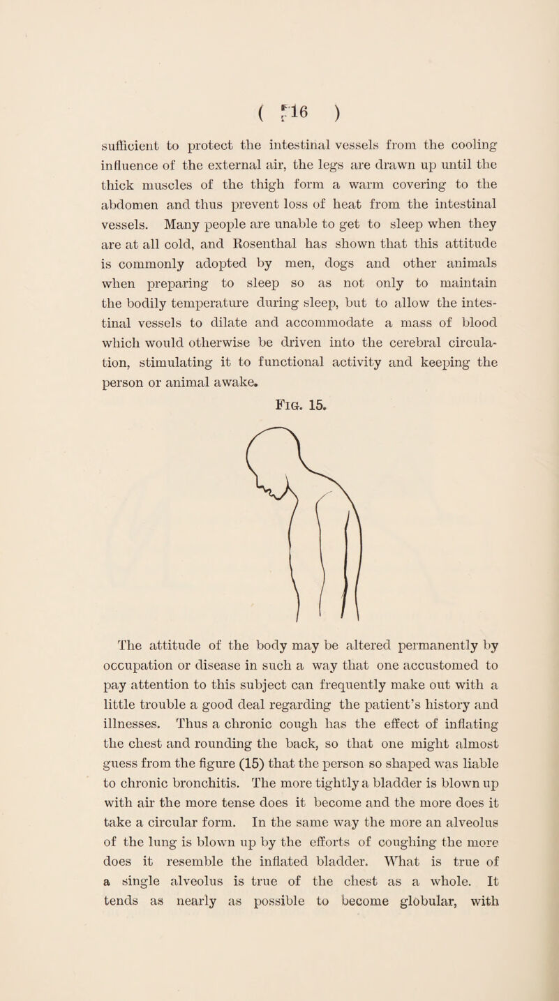 ( rie ) sufficient to protect the intestinal vessels from the cooling influence of the external air, the legs are drawn up until the thick muscles of the thigh form a warm covering to the abdomen and thus prevent loss of heat from the intestinal vessels. Many people are unable to get to sleep when they are at all cold, and Rosenthal has shown that this attitude is commonly adopted by men, dogs and other animals when preparing to sleep so as not only to maintain the bodily temperature during sleep, but to allow the intes¬ tinal vessels to dilate and accommodate a mass of blood which would otherwise be driven into the cerebral circula¬ tion, stimulating it to functional activity and keeping the person or animal awake. Fig. 15. The attitude of the body may be altered permanently by occupation or disease in such a way that one accustomed to pay attention to this subject can frequently make out with a little trouble a good deal regarding the patient’s history and illnesses. Thus a chronic cough has the effect of inflating the chest and rounding the back, so that one might almost guess from the figure (15) that the person so shaped was liable to chronic bronchitis. The more tightly a bladder is blown up with air the more tense does it become and the more does it take a circular form. In the same way the more an alveolus of the lung is blown up by the efforts of coughing the more does it resemble the inflated bladder. What is true of a single alveolus is true of the chest as a whole. It tends as nearly as possible to become globular, with