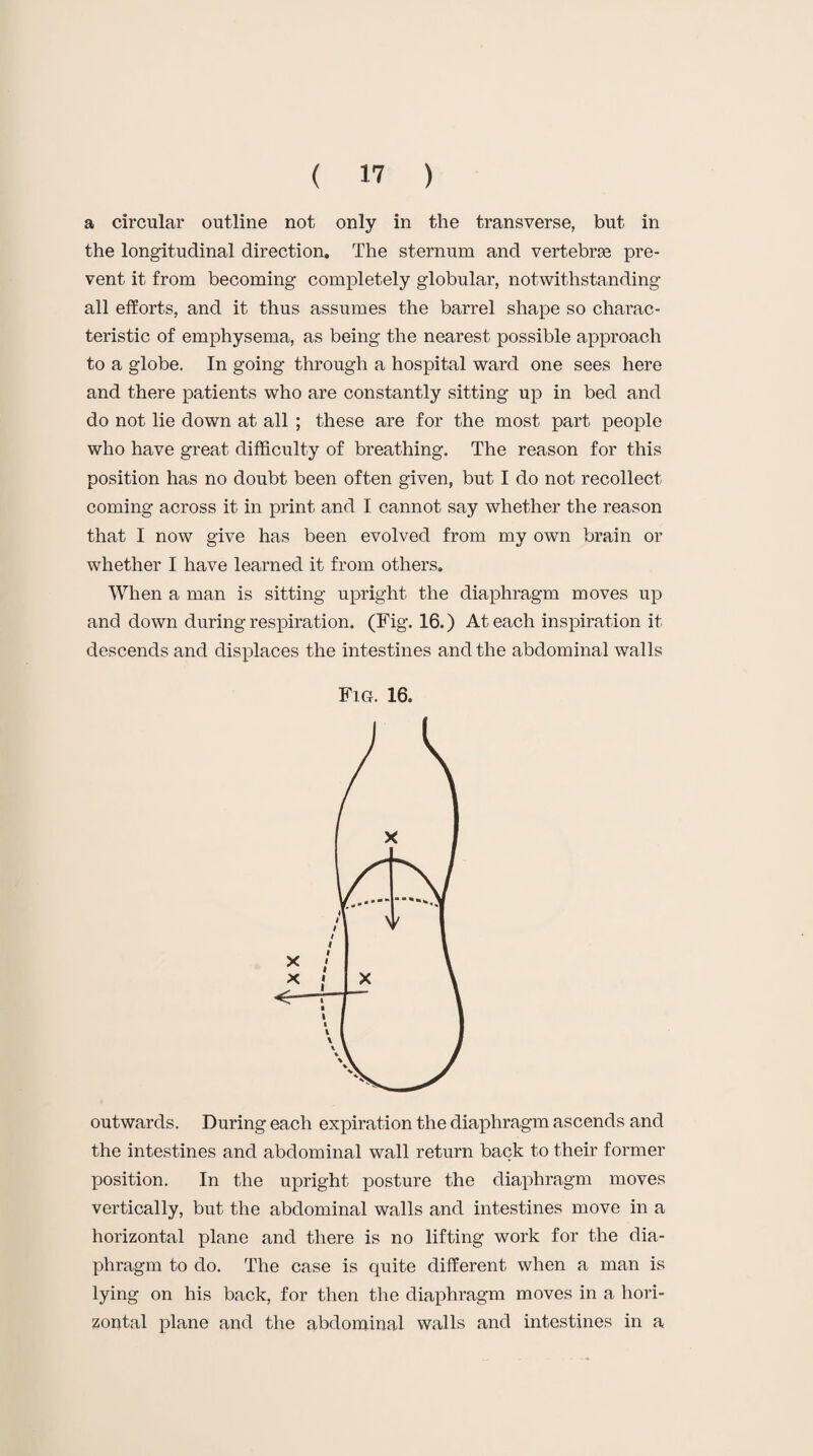 a circular outline not only in the transverse, but in the longitudinal direction. The sternum and vertebrae pre¬ vent it from becoming completely globular, notwithstanding all efforts, and it thus assumes the barrel shape so charac¬ teristic of emphysema, as being the nearest possible approach to a globe. In going through a hospital ward one sees here and there patients who are constantly sitting up in bed and do not lie down at all ; these are for the most part people who have great difficulty of breathing. The reason for this position has no doubt been often given, but I do not recollect coming across it in print and I cannot say whether the reason that I now give has been evolved from my own brain or whether I have learned it from others. When a man is sitting upright the diaphragm moves up and down during respiration. (Fig. 16.) At each inspiration it descends and displaces the intestines and the abdominal walls Fig. 16. outwards. During each expiration the diaphragm ascends and the intestines and abdominal wall return back to their former position. In the upright posture the diaphragm moves vertically, but the abdominal walls and intestines move in a horizontal plane and there is no lifting work for the dia¬ phragm to do. The case is quite different when a man is lying on his back, for then the diaphragm moves in a hori¬ zontal plane and the abdominal walls and intestines in a