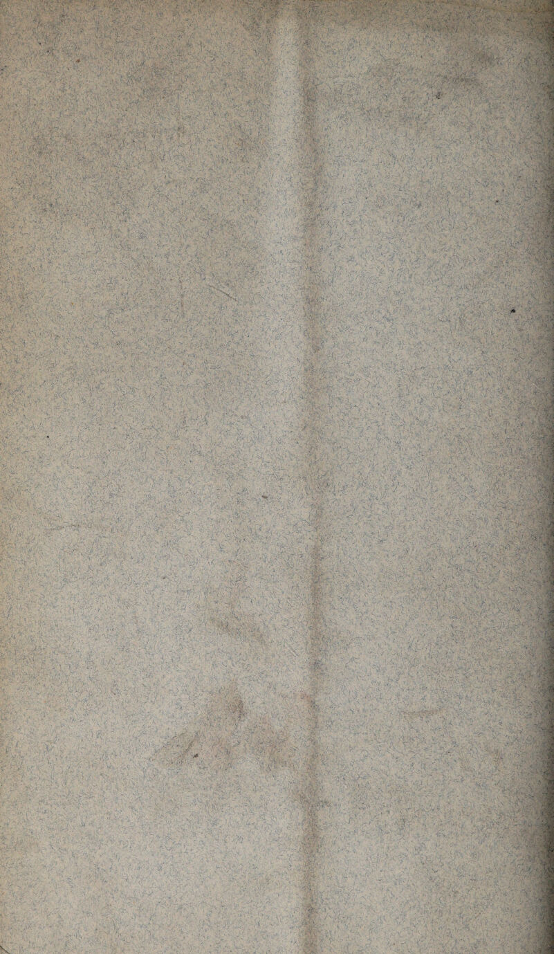 j.- .■ . ■; • r*. f . > '■ '/■ • . •. .*