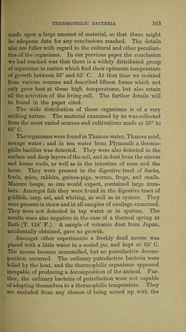 digitised image 3