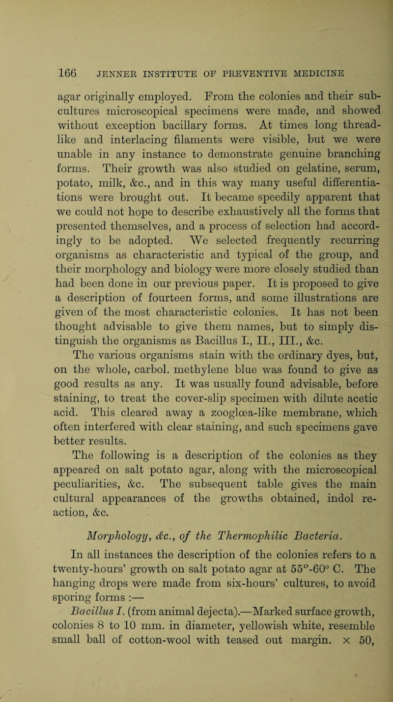 agar originally employed. From the colonies and their sub¬ cultures microscopical specimens were made, and showed without exception bacillary forms. At times long thread¬ like and interlacing filaments were visible, but we were unable in any instance to demonstrate genuine branching forms. Their growth was also studied on gelatine, serum, potato, milk, &c., and in this way many useful differentia¬ tions were brought out. It became speedily apparent that we could not hope to describe exhaustively all the forms that presented themselves, and a process of selection had accord¬ ingly to be adopted. We selected frequently recurring organisms as characteristic and typical of the group, and their morphology and biology were more closely studied than had been done in our previous paper. It is proposed to give a description of fourteen forms, and some illustrations are given of the most characteristic colonies. It has not been thought advisable to give them names, hut to simply dis¬ tinguish the organisms as Bacillus I., II., III., &c. The various organisms stain with the ordinary dyes, but, on the whole, carbol. methylene blue was found to give as good results as any. It was usually found advisable, before staining, to treat the cover-slip specimen with dilute acetic acid. This cleared away a zoogloea-like membrane, which often interfered with clear staining, and such specimens gave better results. The following is a description of the colonies as they appeared on salt potato agar, along with the microscopical peculiarities, &c. The subsequent table gives the main cultural appearances of the growths obtained, indol re¬ action, &c. Morphology, dc., of the Thermophilic Bacteria. In all instances the description of the colonies refers to a twenty-hours’ growth on salt potato agar at 55°-60° C. The hanging drops were made from six-hours’ cultures, to avoid sporing forms :— Bacillus I. (from animal dejecta).—Marked surface growth, colonies 8 to 10 mm. in diameter, yellowish white, resemble small ball of cotton-wool with teased out margin, x 50,