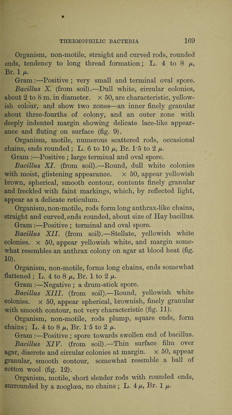 Organism, non-motile, straight and curved rods, rounded ends, tendency to long thread formation; L. 4 to 8 Br. 1 fi. Gram:—Positive ; very small and terminal oval spore. Bacillus X. (from soil).—Dull white, circular colonies, about 2 to 8 m. in diameter, x 50, are characteristic, yellow¬ ish colour, and show two zones—an inner finely granular about three-fourths of colony, and an outer zone with deeply indented margin showing delicate lace-like appear¬ ance and fluting on surface (fig. 9). Organism, motile, numerous scattered rods, occasional chains, ends rounded; L. 6 to 10 fi, Br. 1*5 to 2 fi. Gram :—Positive ; large terminal and oval spore. Bacillus XI. (from soil).—Bound, dull white colonies with moist, glistening appearance. x 50, appear yellowish brown, spherical, smooth contour, contents finely granular and freckled with faint markings, which, by reflected light, appear as a delicate reticulum. Organism, non-motile, rods form long anthrax-like chains, straight and curved, ends rounded, about size of Hay bacillus. Gram :—Positive ; terminal and oval spore. Bacillus XII. (from soil).—Stellate, yellowish white colonies, x 50, appear yellowish white, and margin some¬ what resembles an anthrax colony on agar at blood heat (fig. 10). Organism, non-motile, forms long chains, ends somewhat flattened; L. 4 to 8 n, Br. 1 to 2 fi. Gram :—Negative ; a drum-stick spore. Bacillus XIII. (from soil).—Bound, yellowish white colonies, x 50, appear spherical, brownish, finely granular with smooth contour, not very characteristic (fig. 11). Organism, non-motile, rods plump, square ends, form chains; L. 4 to 8 /a, Br. P5 to 2 fi. Gram :—Positive ; spore towards swollen end of bacillus. Bacillus XIV. (from soil).—Thin surface film over agar, discrete and circular colonies at margin, x 50, appear granular, smooth contour, somewhat resemble a ball of cotton wool (fig. 12). Organism, motile, short slender rods with rounded ends, surrounded by a zoogloea, no chains ; L. 4Br. 1 ^.