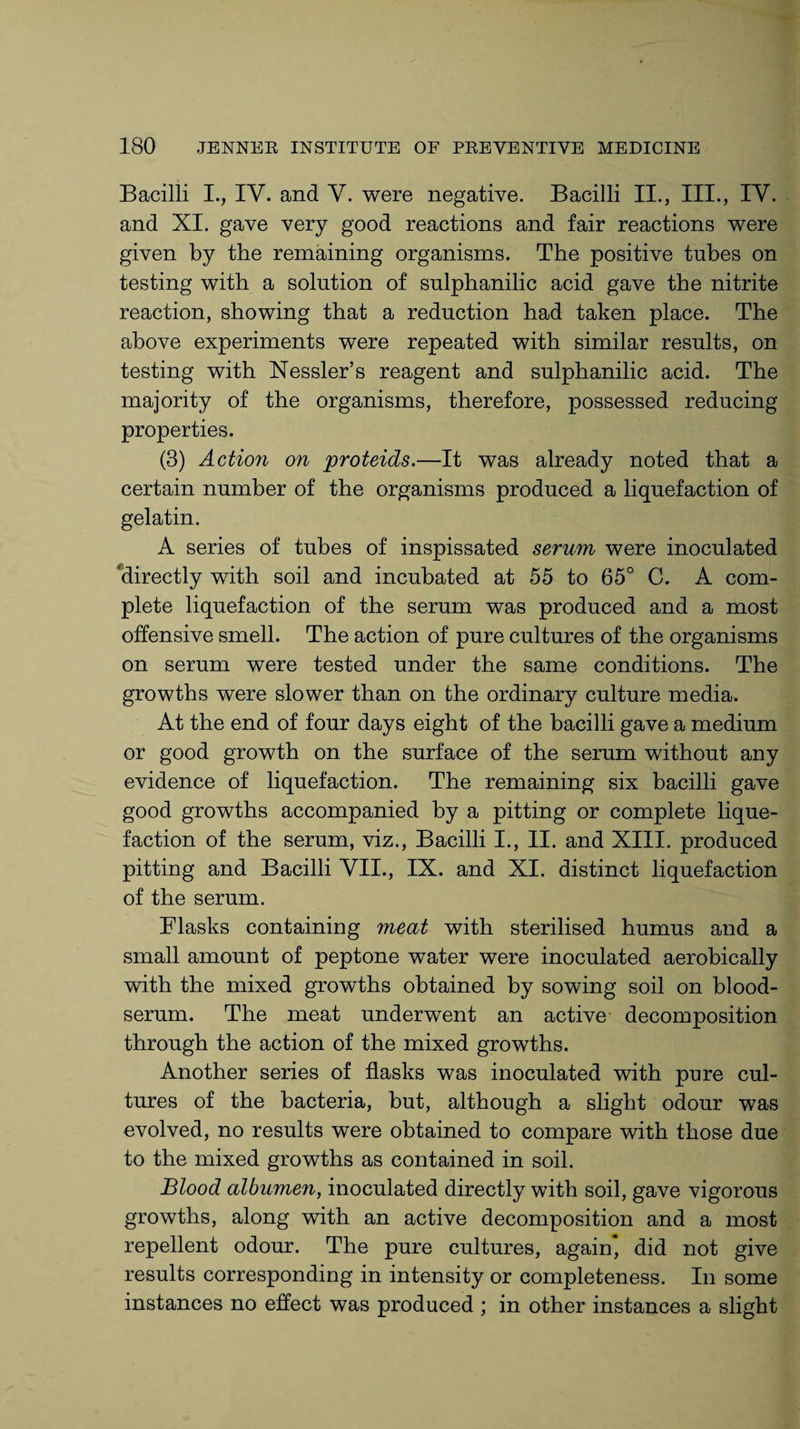 Bacilli I., IV. and V. were negative. Bacilli II., III., IY. and XI. gave very good reactions and fair reactions were given by the remaining organisms. The positive tubes on testing with a solution of sulphanilic acid gave the nitrite reaction, showing that a reduction had taken place. The above experiments were repeated with similar results, on testing with Nessler’s reagent and sulphanilic acid. The majority of the organisms, therefore, possessed reducing properties. (3) Action on proteids.—It was already noted that a certain number of the organisms produced a liquefaction of gelatin. A series of tubes of inspissated serum were inoculated directly with soil and incubated at 55 to 65° C. A com¬ plete liquefaction of the serum was produced and a most offensive smell. The action of pure cultures of the organisms on serum were tested under the same conditions. The growths were slower than on the ordinary culture media. At the end of four days eight of the bacilli gave a medium or good growth on the surface of the serum without any evidence of liquefaction. The remaining six bacilli gave good growths accompanied by a pitting or complete lique¬ faction of the serum, viz., Bacilli I., II. and XIII. produced pitting and Bacilli VII., IX. and XI. distinct liquefaction of the serum. Flasks containing meat with sterilised humus and a small amount of peptone water were inoculated aerobically with the mixed growths obtained by sowing soil on blood- serum. The meat underwent an active decomposition through the action of the mixed growths. Another series of flasks was inoculated with pure cul¬ tures of the bacteria, but, although a slight odour was evolved, no results were obtained to compare with those due to the mixed growths as contained in soil. Blood albumen, inoculated directly with soil, gave vigorous growths, along with an active decomposition and a most repellent odour. The pure cultures, again* did not give results corresponding in intensity or completeness. In some instances no effect was produced ; in other instances a slight