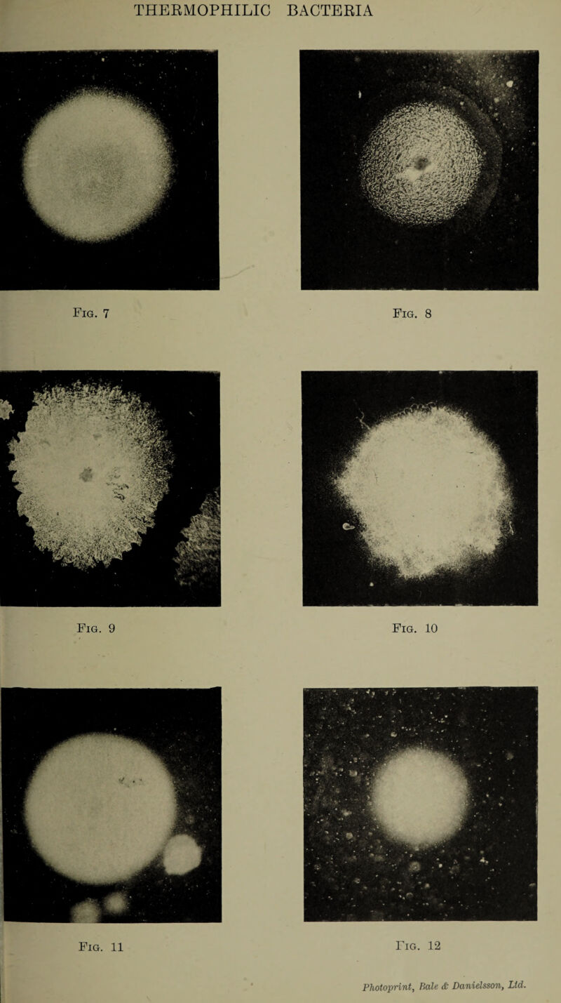 Fig. 7 Fig. 8 Fig. 9 Fig. 10 Fig. 11 Fig. 12