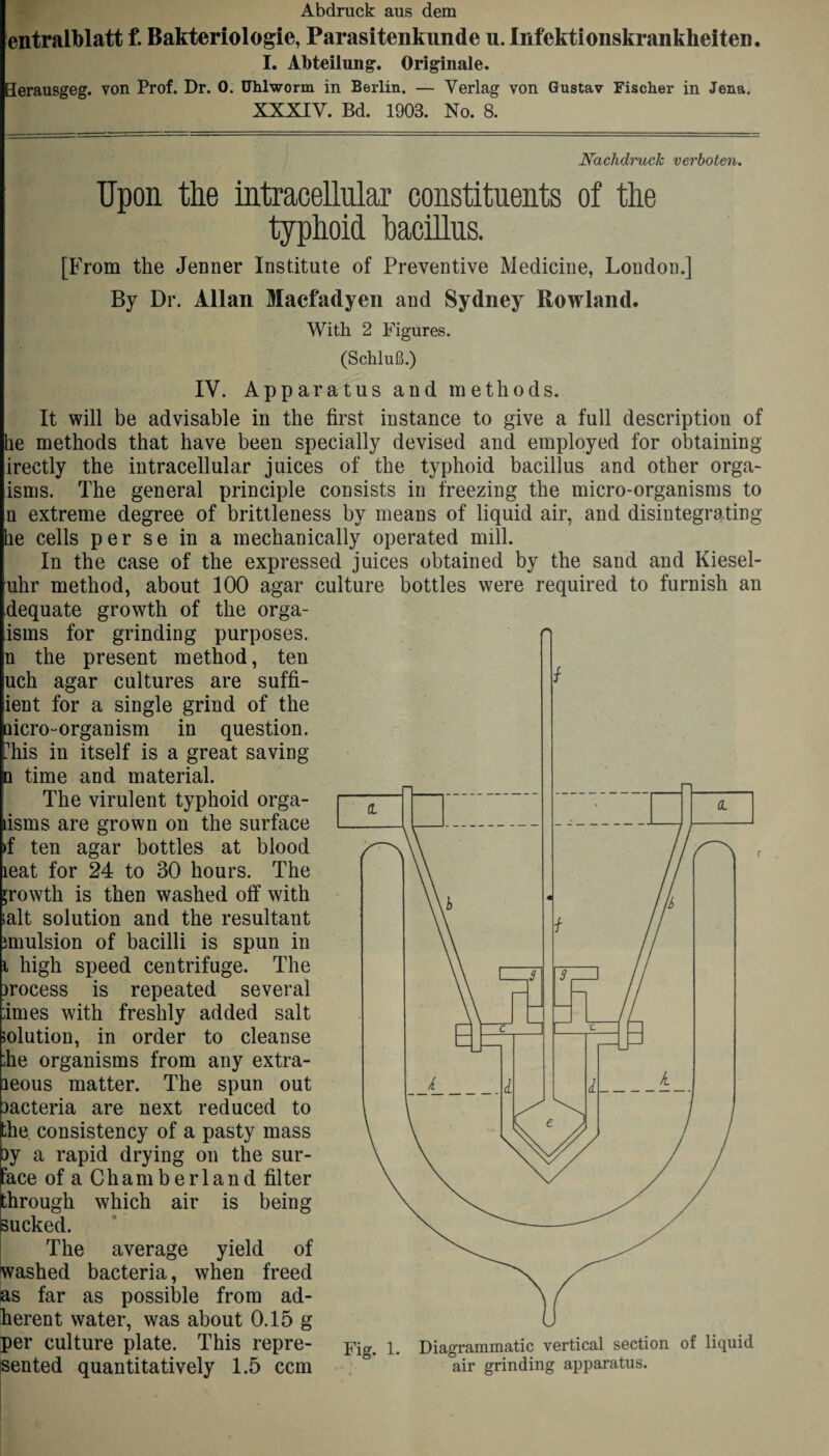 Abdruck aus dem entralblatt f. Bakteriologie, Parasitenkunde u. Infektionskrankheiten. I. Abteilung. Originate. Herausgeg. von Prof. Dr. 0. Uhlworm in Berlin. — Yerlag von Gustav Fischer in Jena. XXXIV. Bd. 1903. No. 8. Nachdruck verboten. Upon the intracellular constituents of the typhoid bacillus. [From the Jenner Institute of Preventive Medicine, London.] By Dr. Allan Macfadyen and Sydney Rowland. With 2 Figures. (Schlufi.) IV. Apparatus and methods. It will be advisable in the first instance to give a full description of le methods that have been specially devised and employed for obtaining irectly the intracellular juices of the typhoid bacillus and other orga- isms. The general principle consists in freezing the micro-organisms to n extreme degree of brittleness by means of liquid air, and disintegrating he cells per se in a mechanically operated mill. In the case of the expressed juices obtained by the sand and Kiesel- uhr method, about 100 agar culture bottles were required to furnish an dequate growth of the orga- isms for grinding purposes, n the present method, ten uch agar cultures are suffi- ient for a single grind of the cro-organism in question. 'his in itself is a great saving time and material. The virulent typhoid orga- lisms are grown on the surface >f ten agar bottles at blood leat for 24 to 30 hours. The growth is then washed off with salt solution and the resultant imulsion of bacilli is spun in i high speed centrifuge. The jrocess is repeated several simes with freshly added salt solution, in order to cleanse she organisms from any extra- leous matter. The spun out Dacteria are next reduced to the consistency of a pasty mass 3y a rapid drying on the sur¬ face of a Chamberland filter through which air is Sucked. The average yield of washed bacteria, when freed as far as possible from ad¬ herent water, was about 0.15 g per culture plate. This repre¬ sented quantitatively 1.5 ccm being Fig. 1. Diagrammatic vertical section of liquid air grinding apparatus.