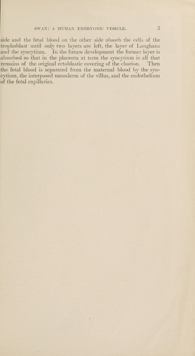 digitised image 3